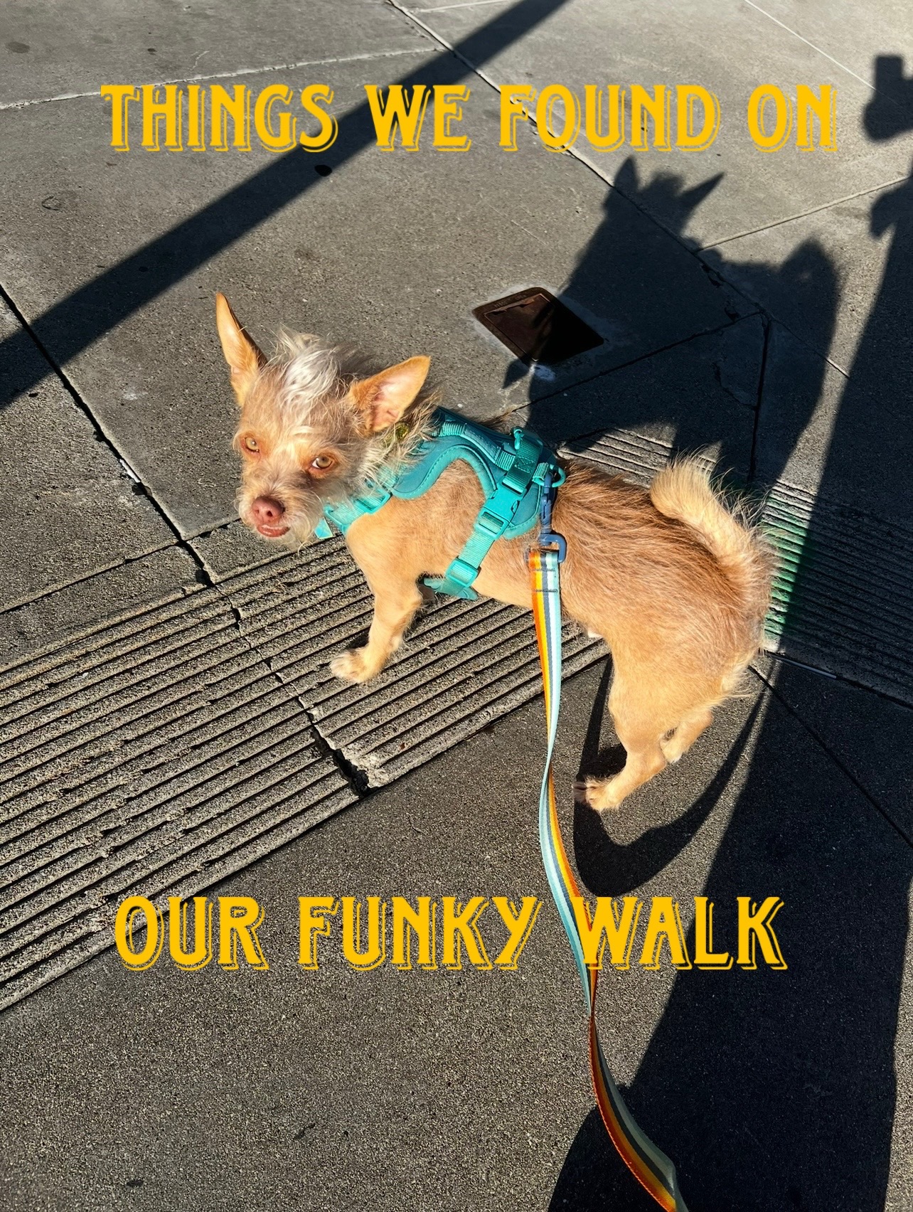 @What’s New Sunny-Doo?