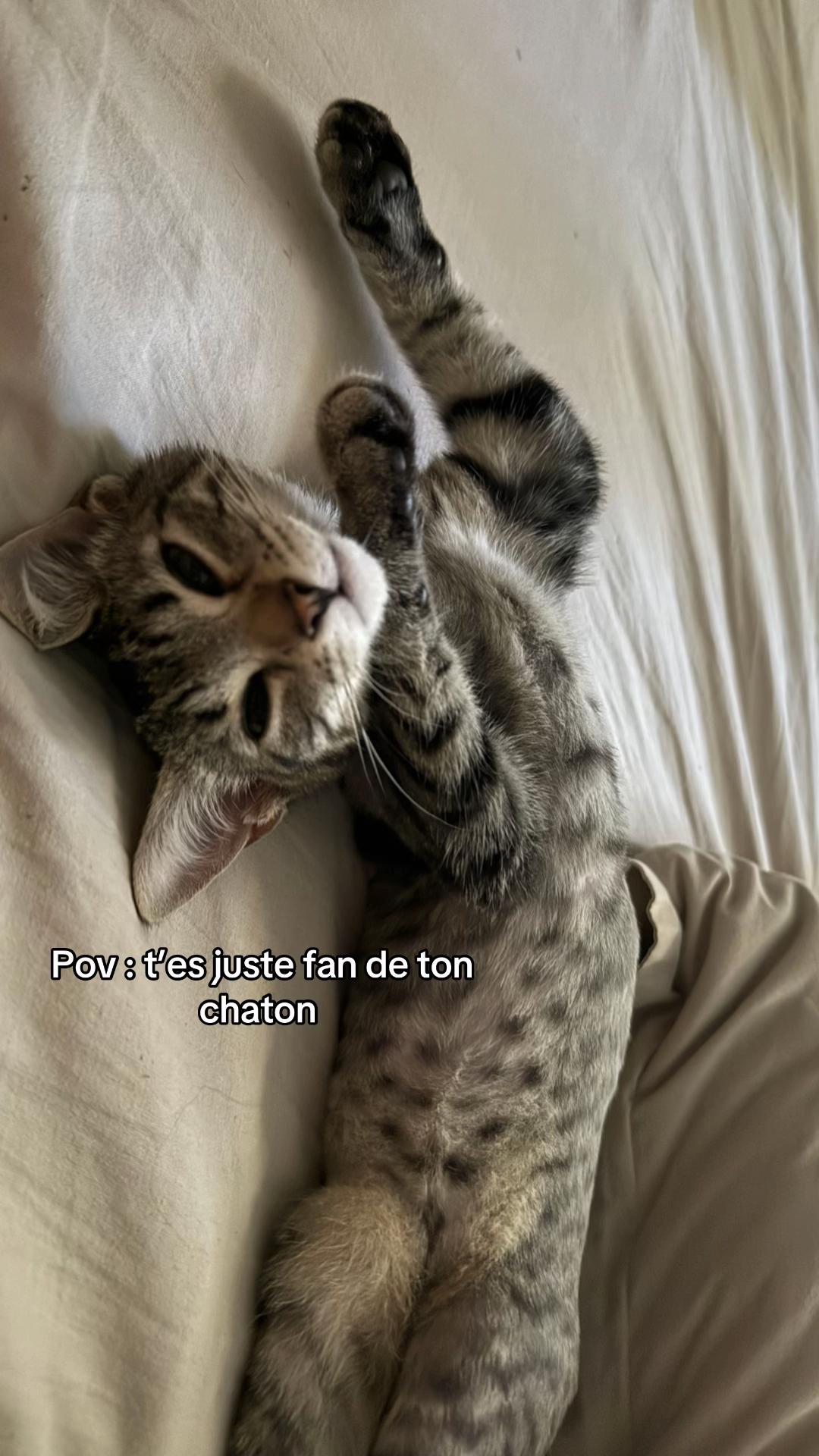 @zizouu