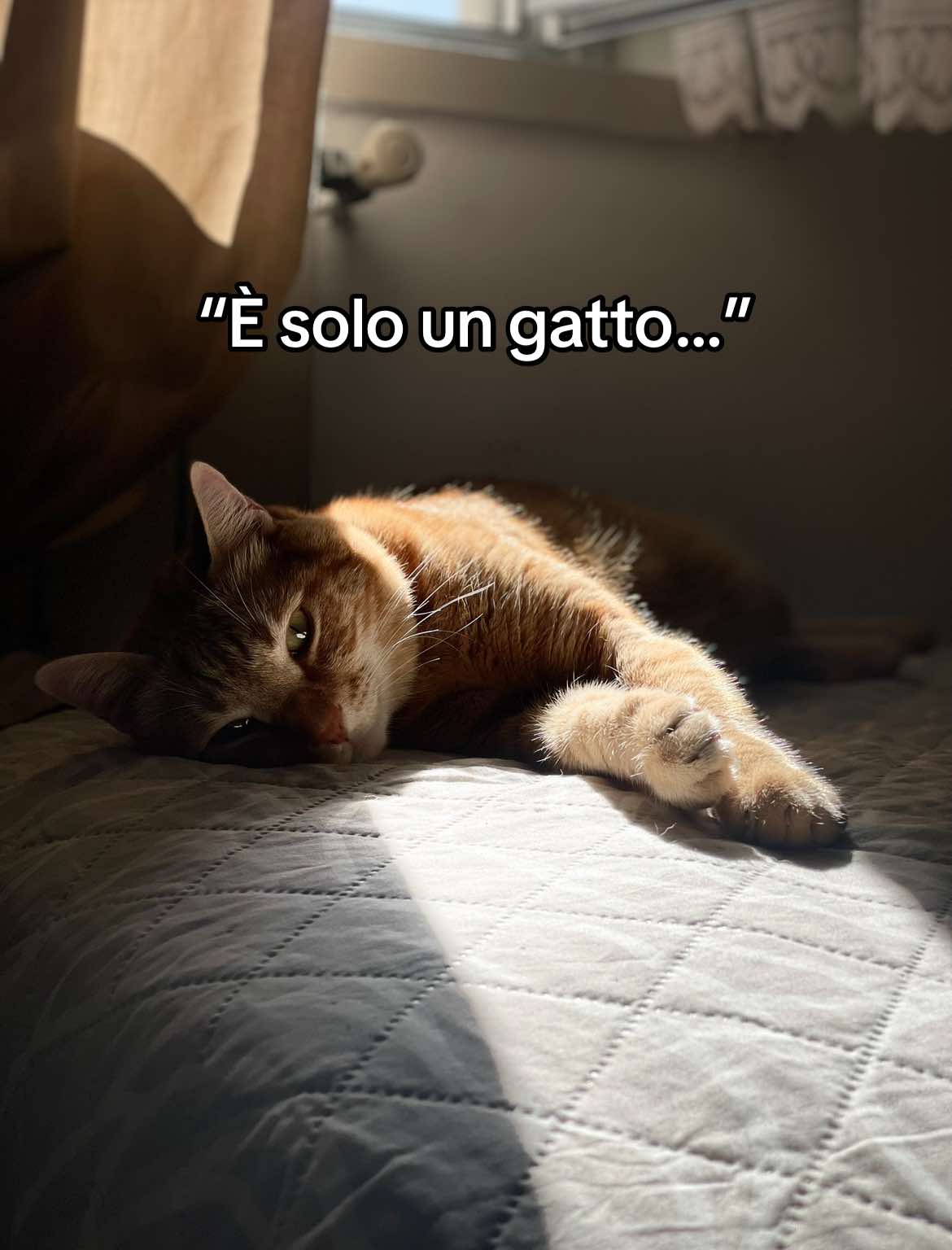 @Emilia Greco