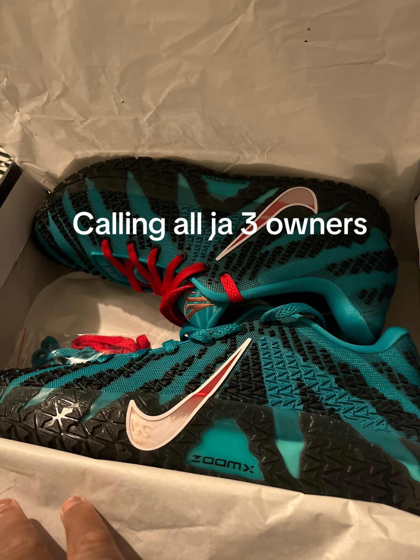 @BigHomie