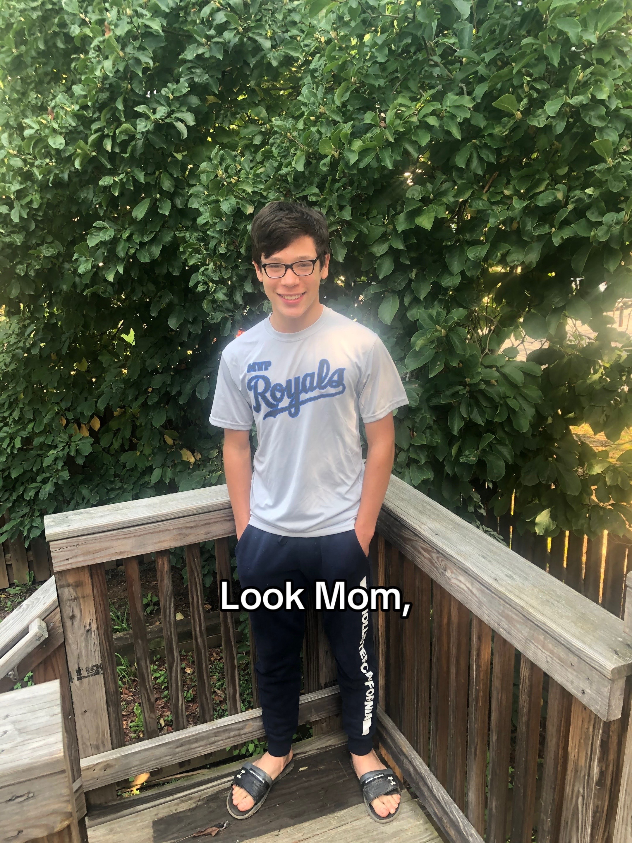 @airfryeranimal
