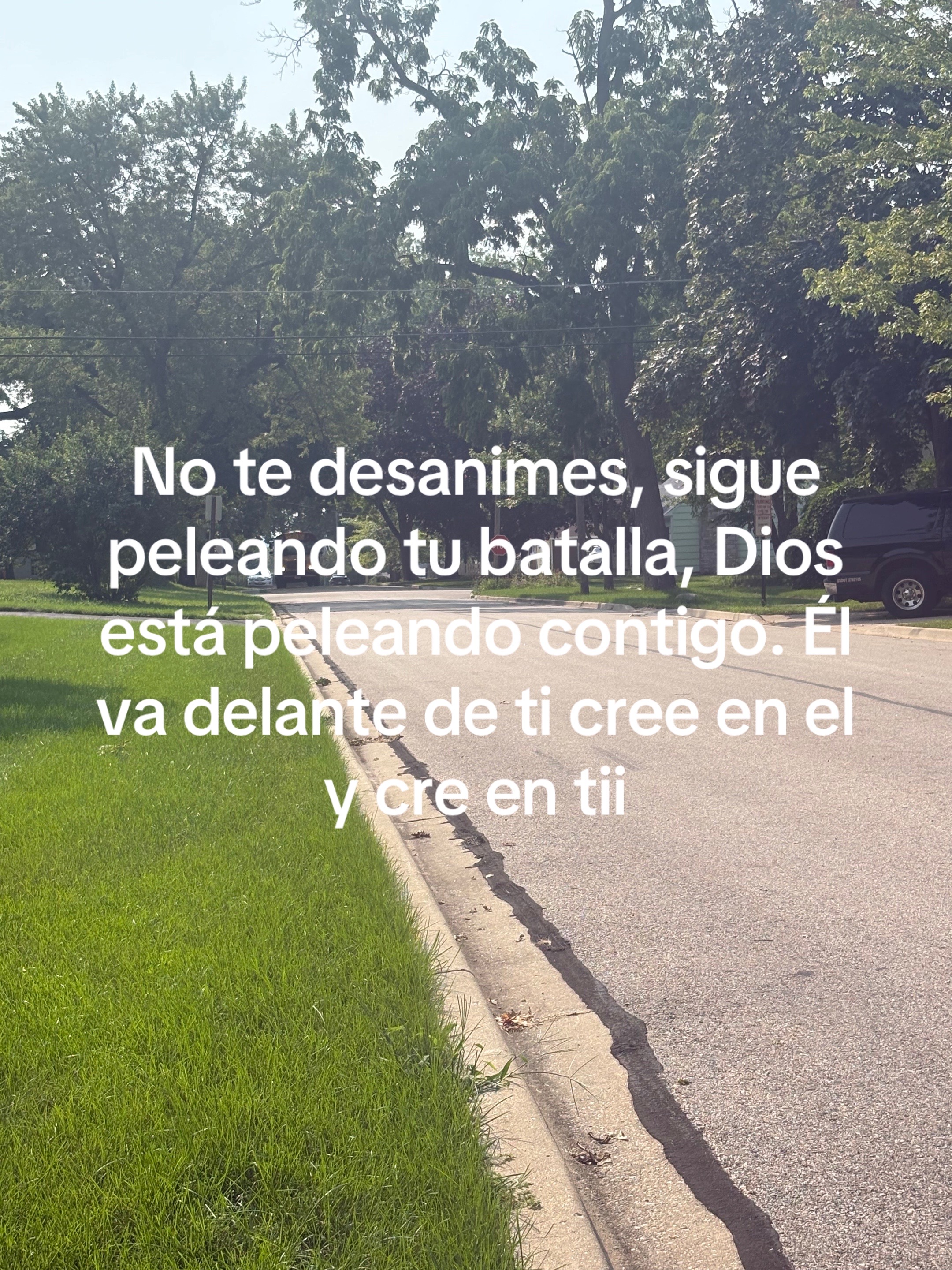 @Araceli vences