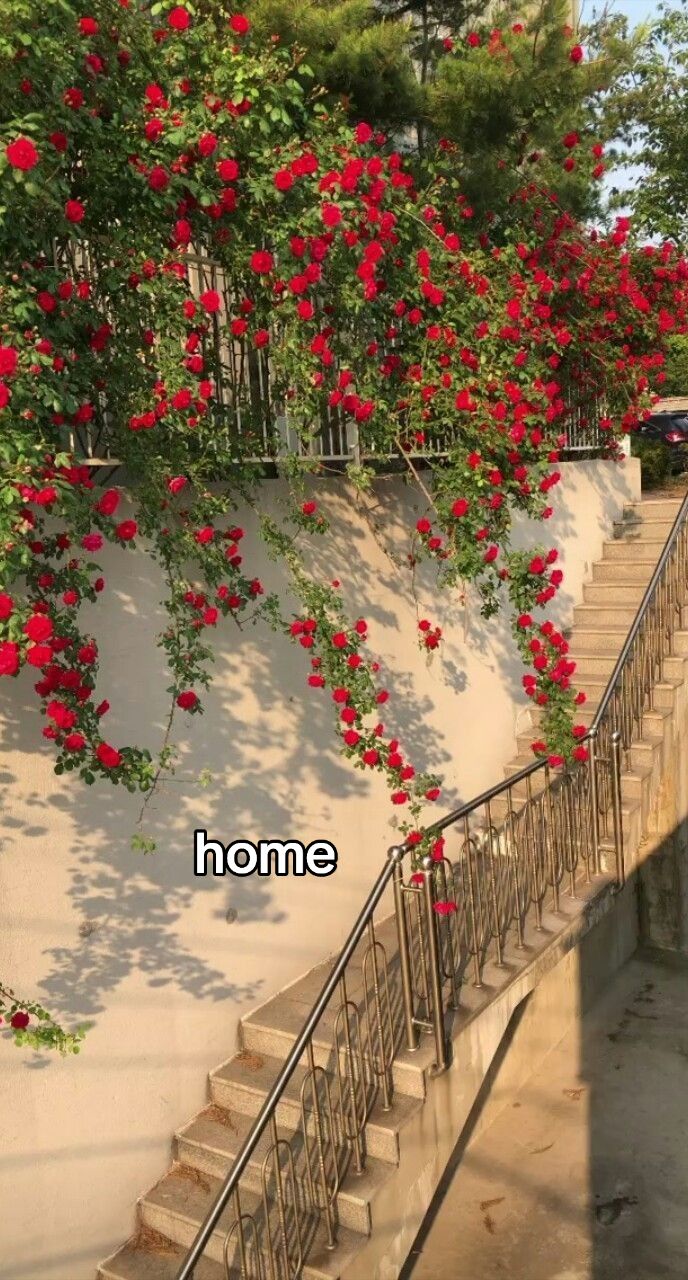 @K 𑣲⋆