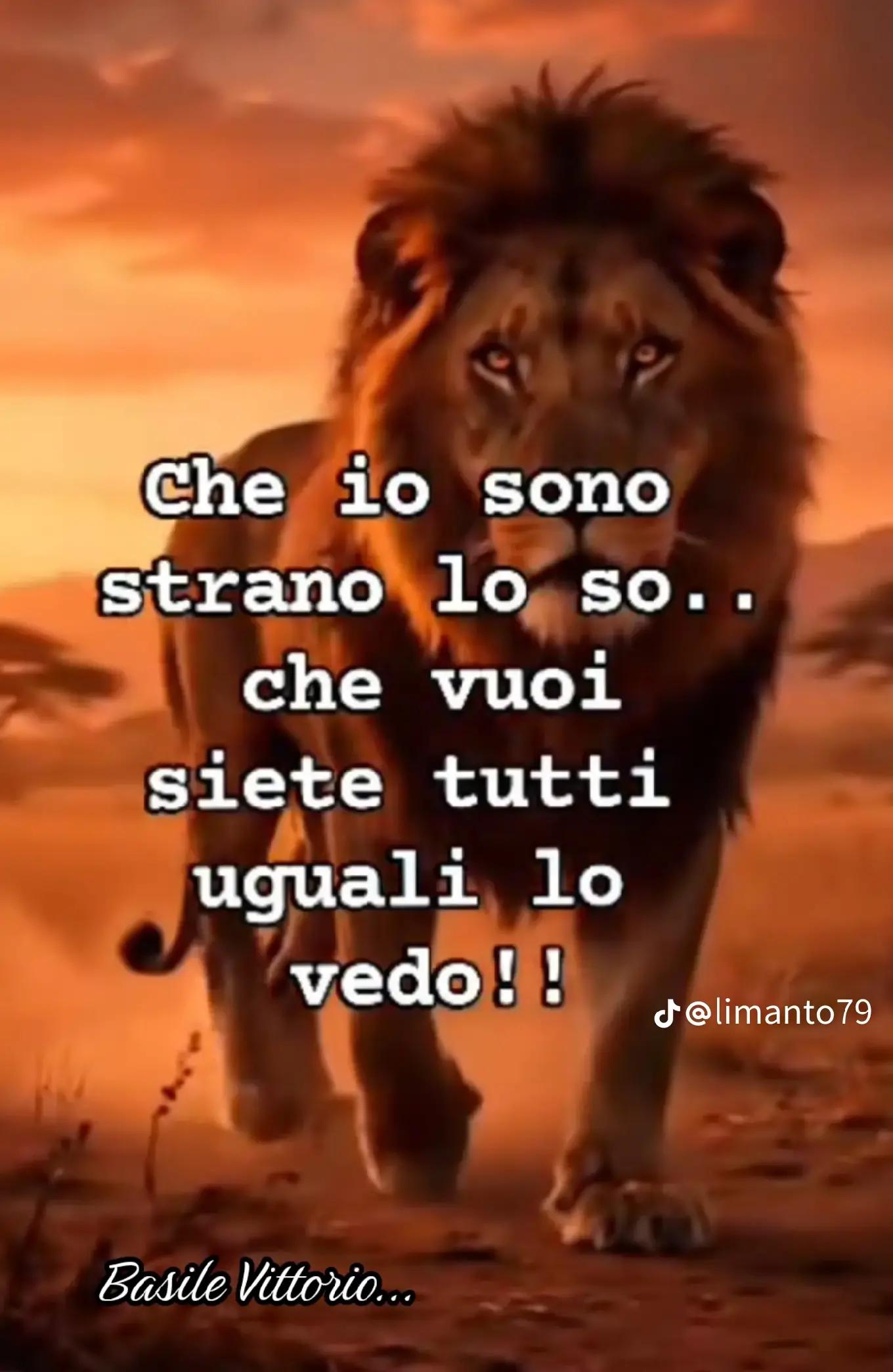 @Stefy