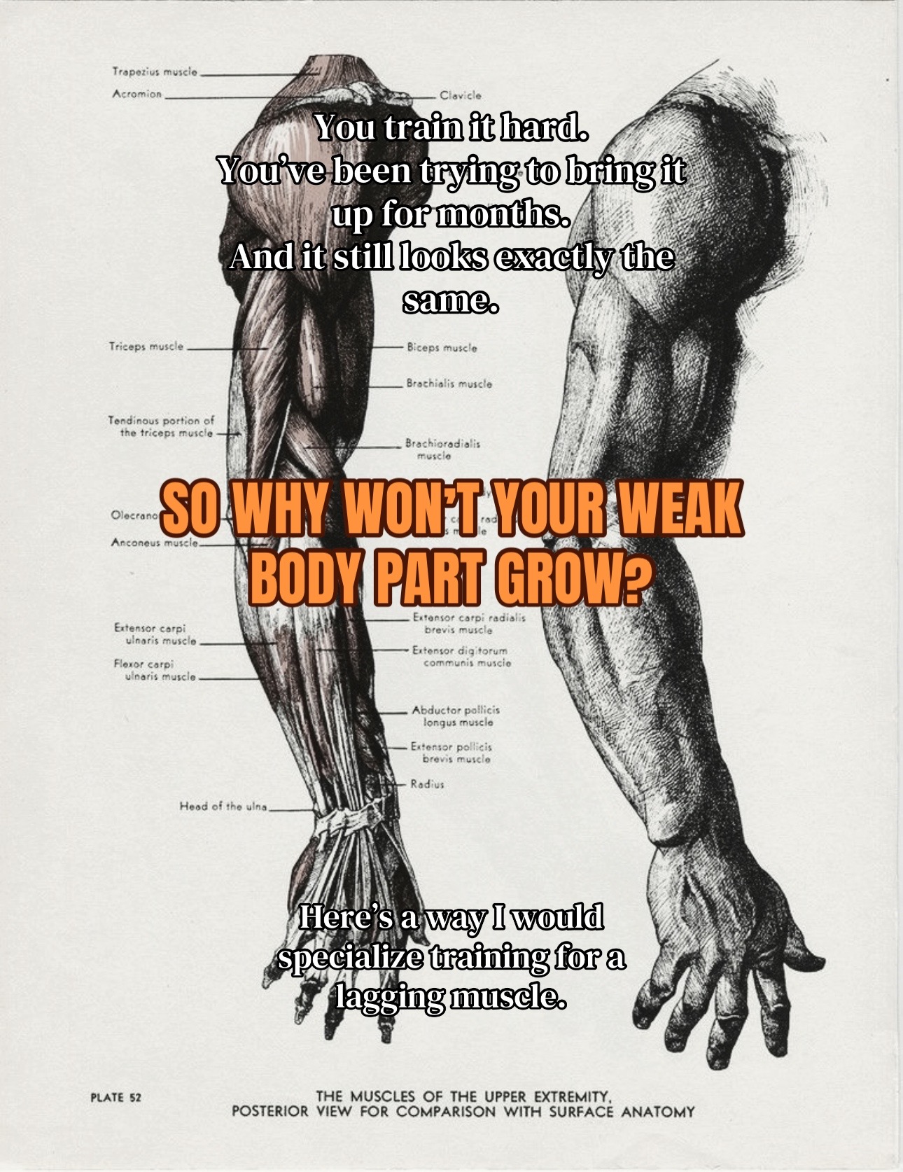@goliathliftzz 6’6 bodybuilder