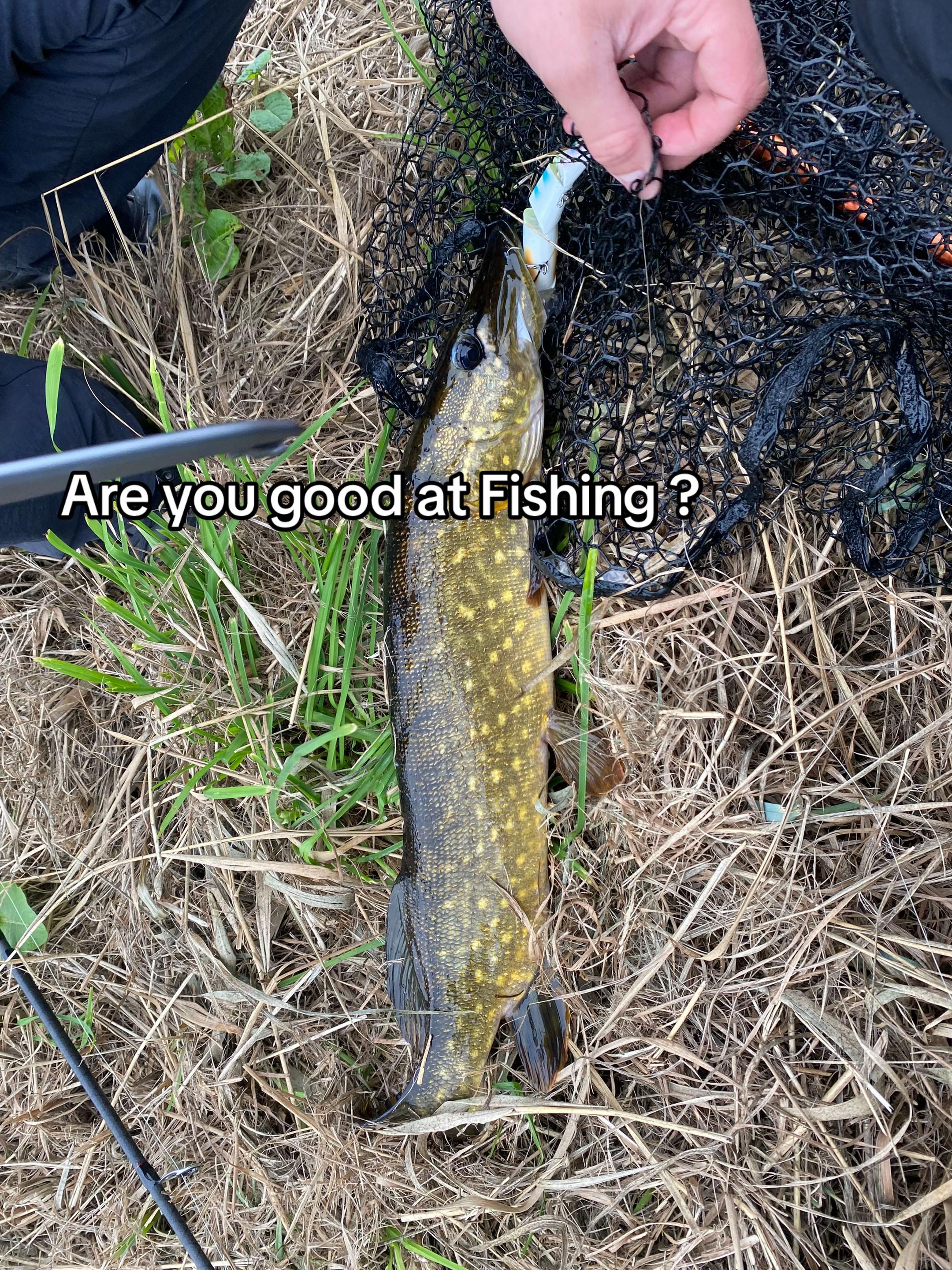 @strike_fishing_