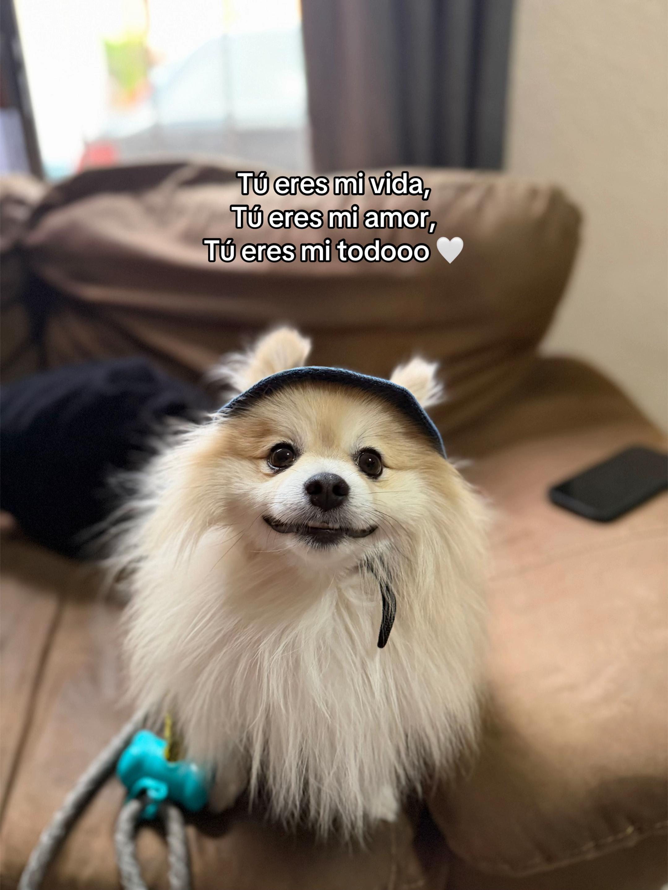 @Dannhblanco