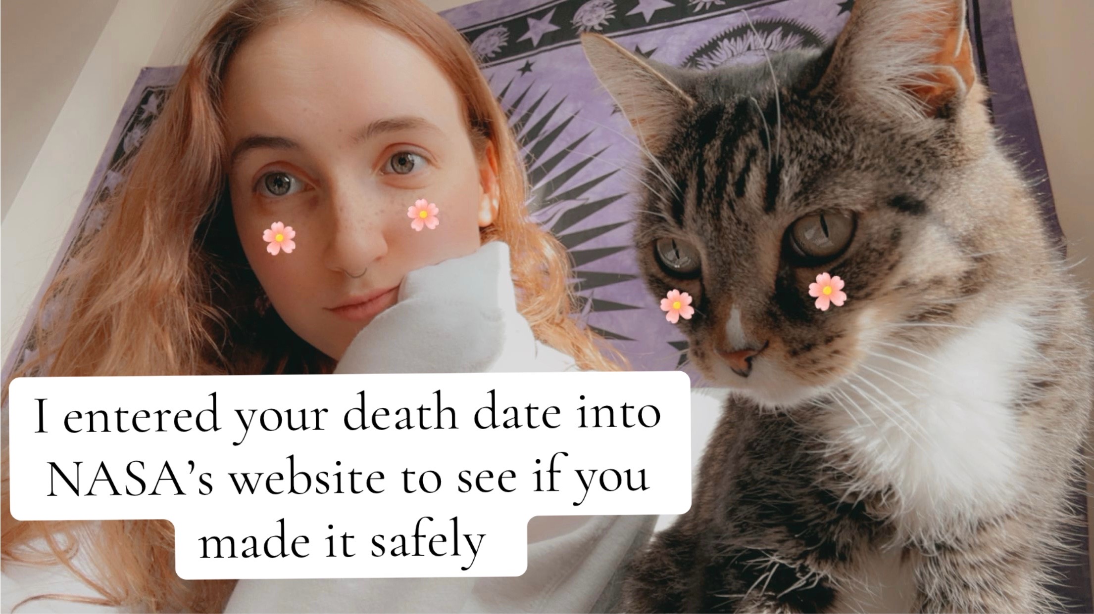 @🌸𝕊𝕙𝕠𝕤𝕙𝕠𝕟𝕚🌸