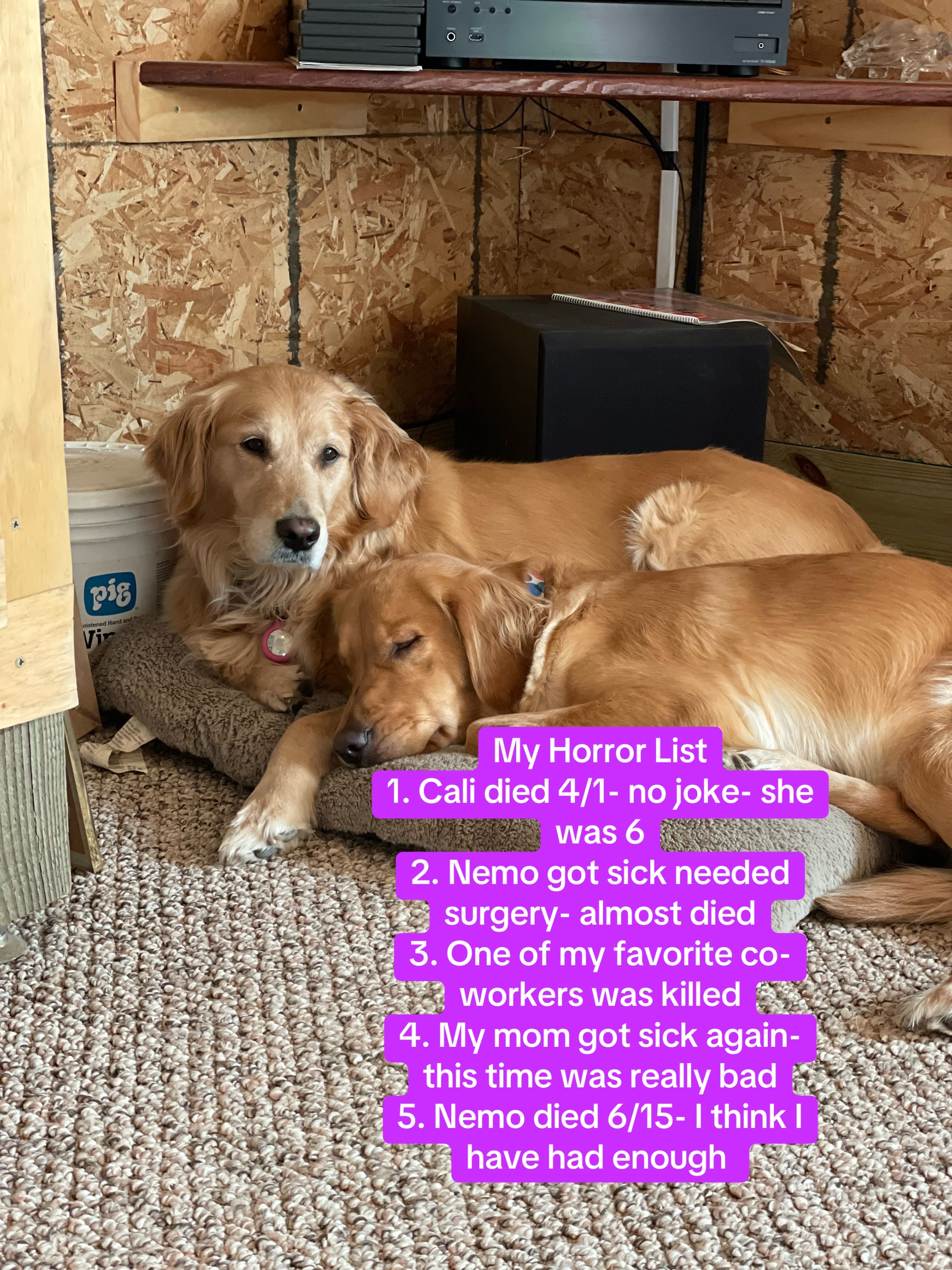 @Nemo, Cali & Fletcher