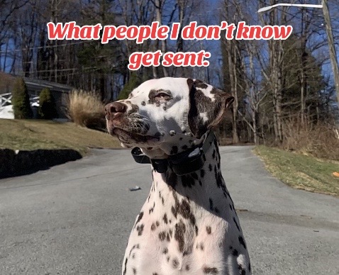 @collie.gnocchi
