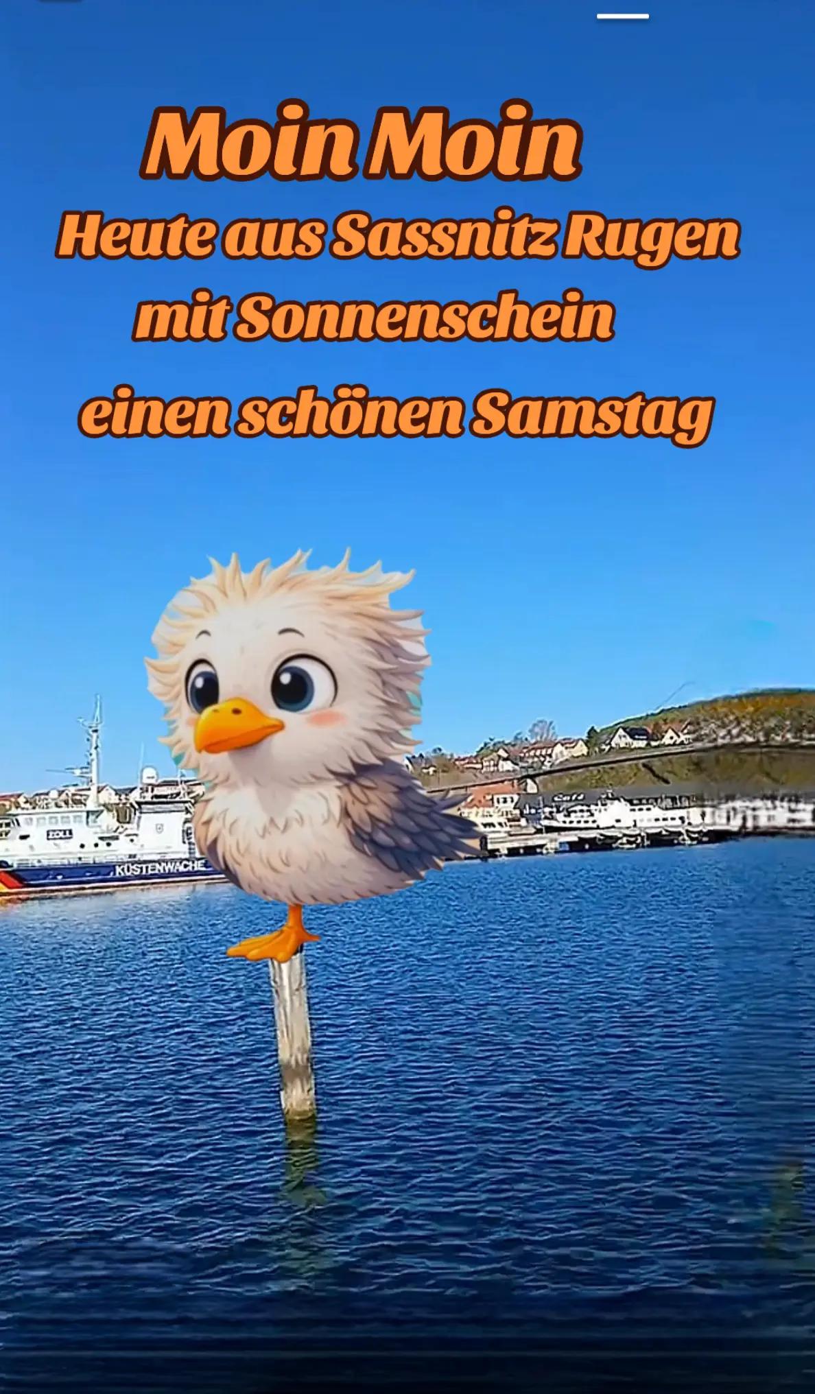 @geistlein12