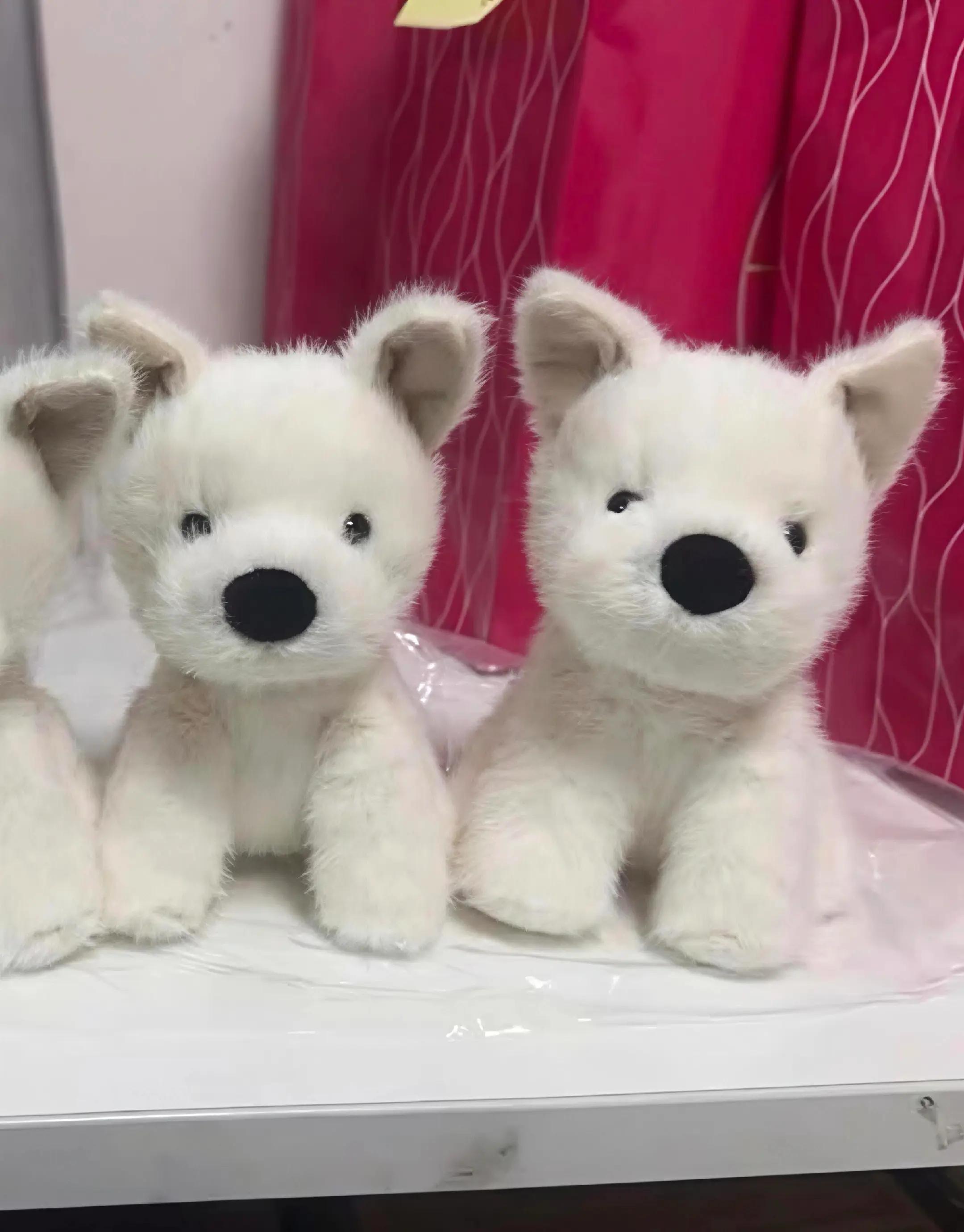 @JellycatDennisBlumengartenK&ouml;ln