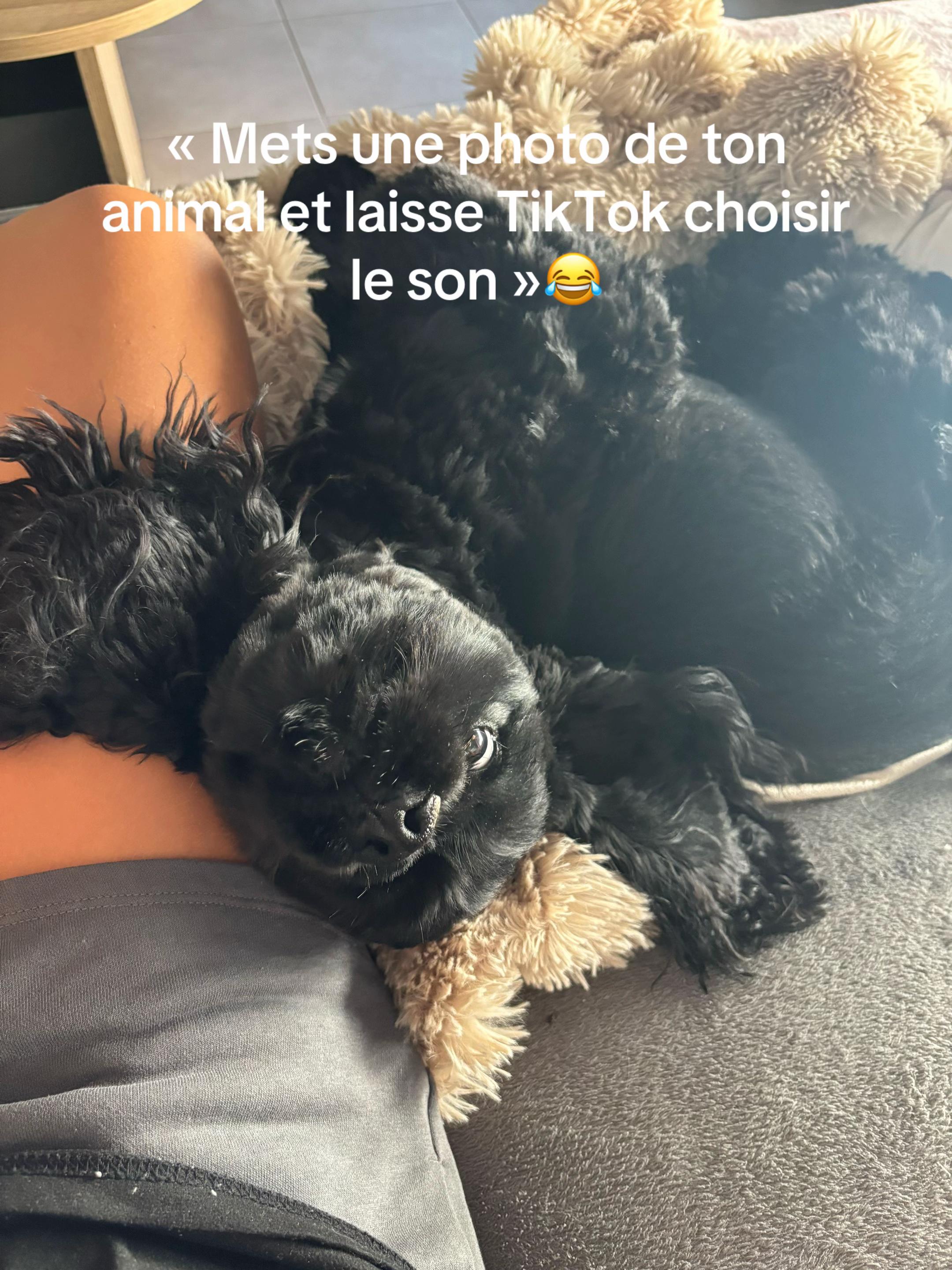 @Ornella🖤