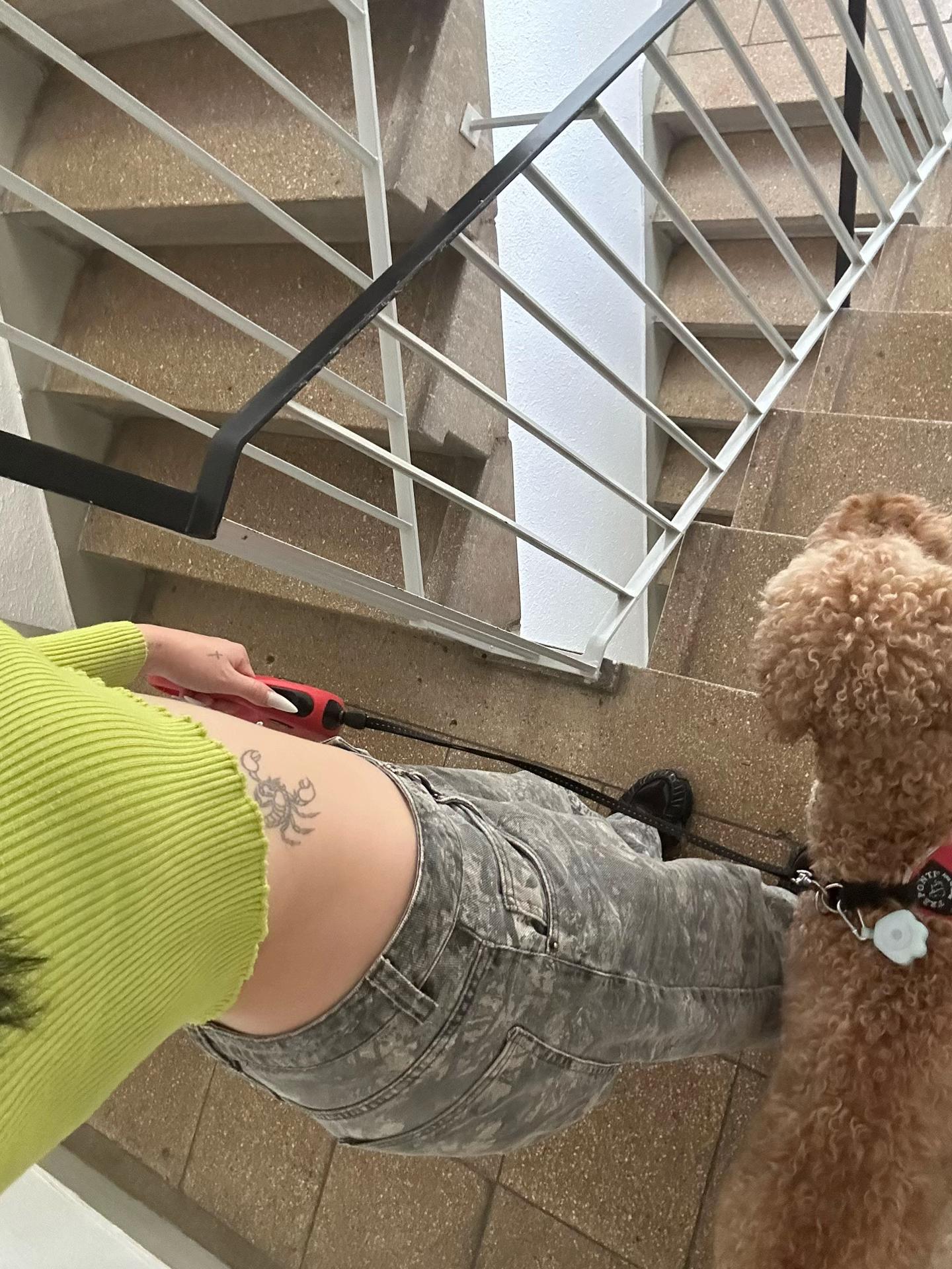 @gabbafotz
