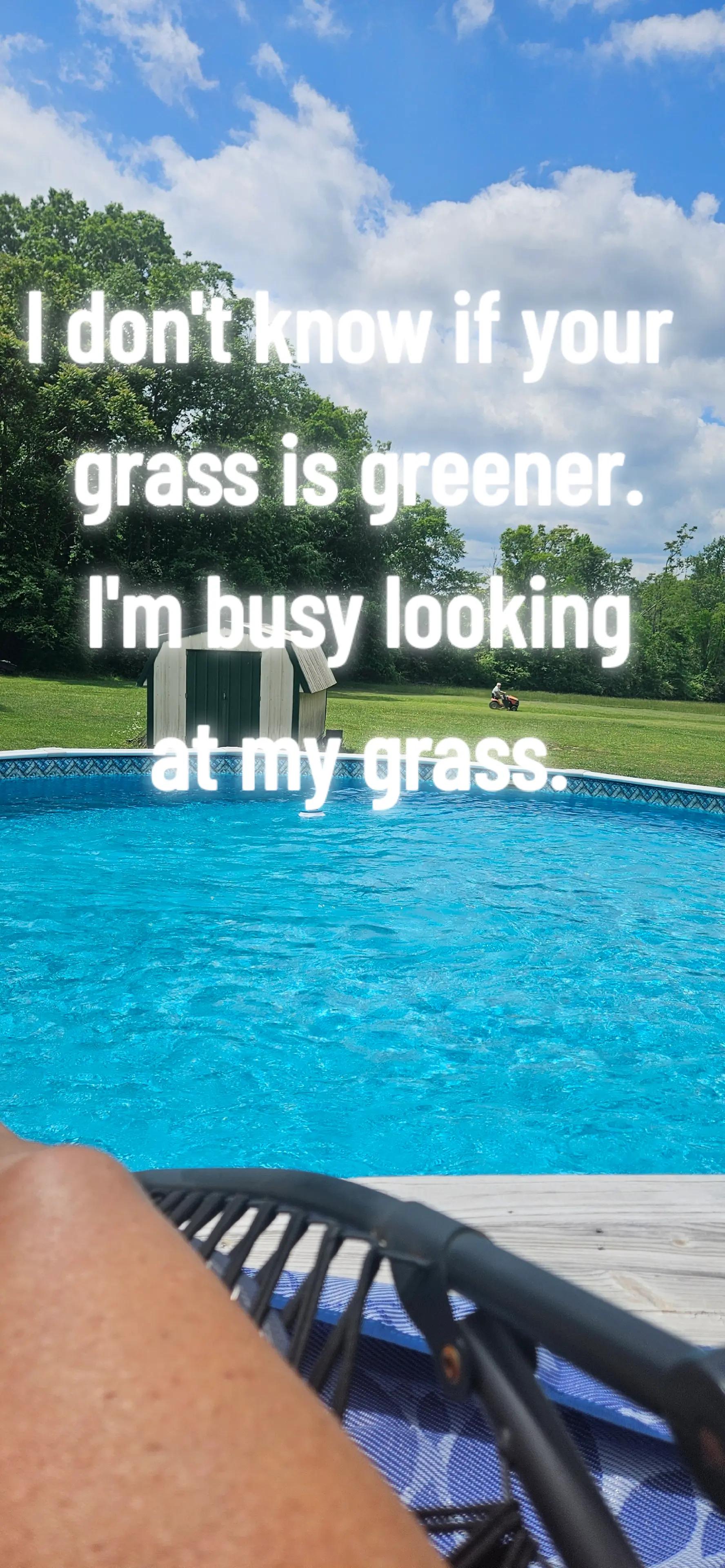 @pam collins