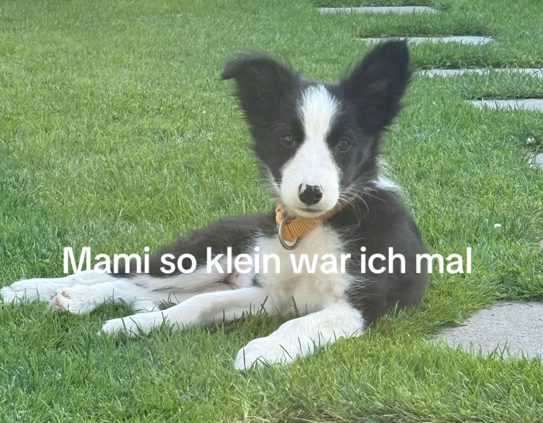 @Itzz_Nala