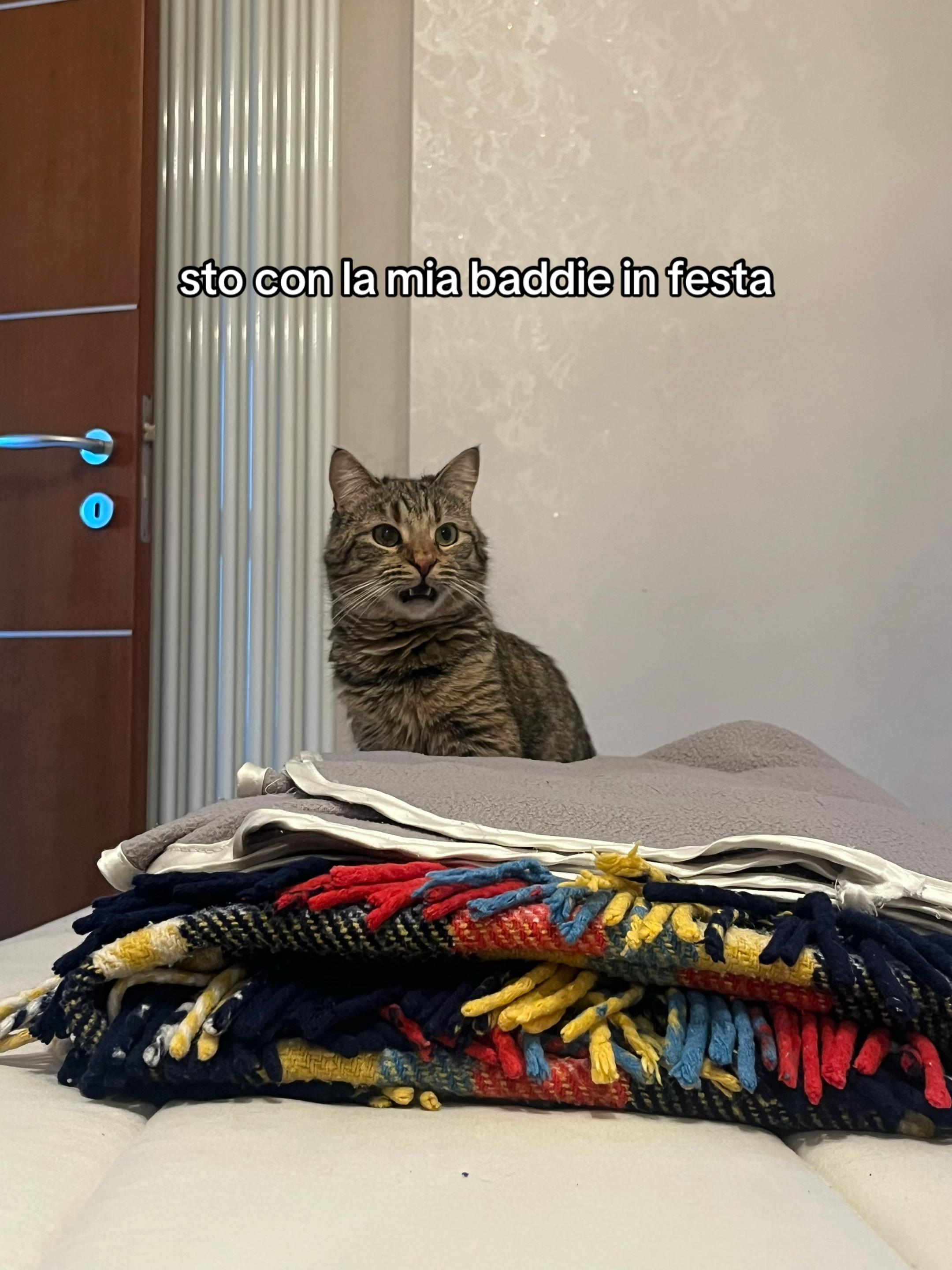 @𝕽𝖔𝖘𝖎𝖊