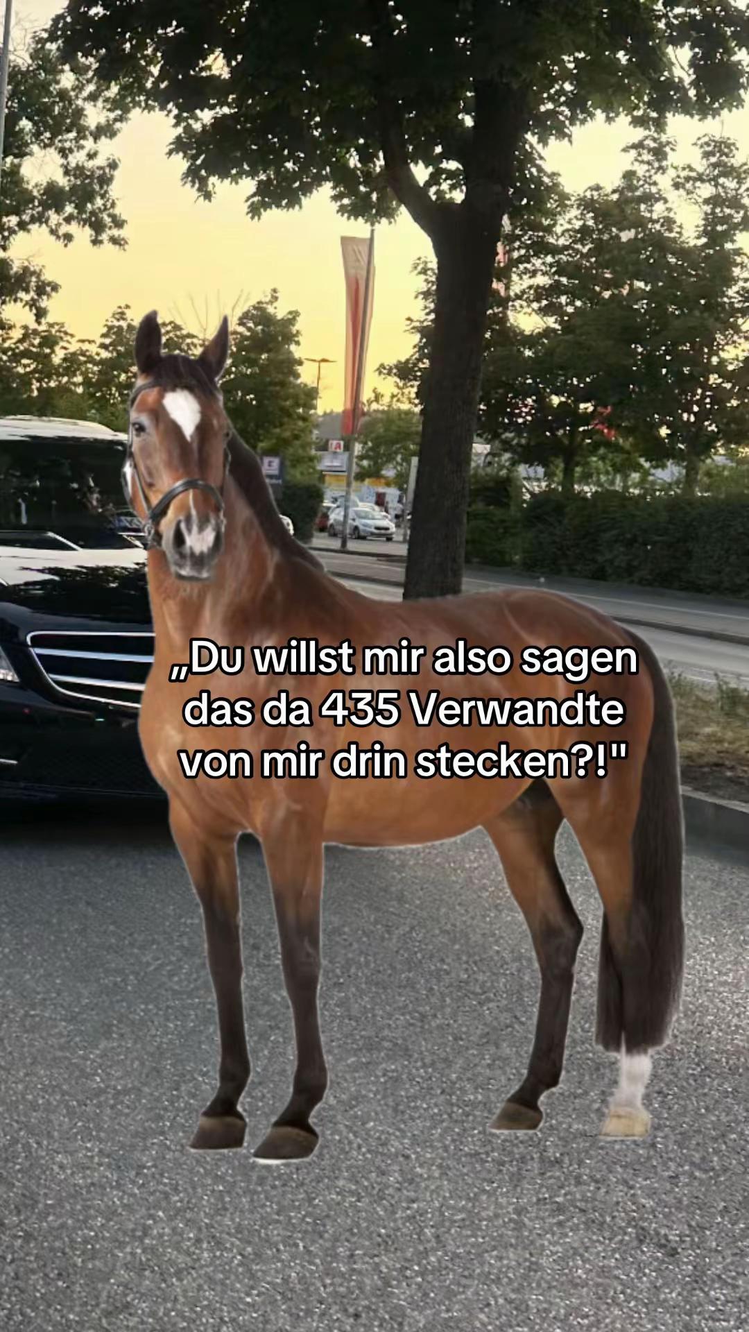 @Mefyou