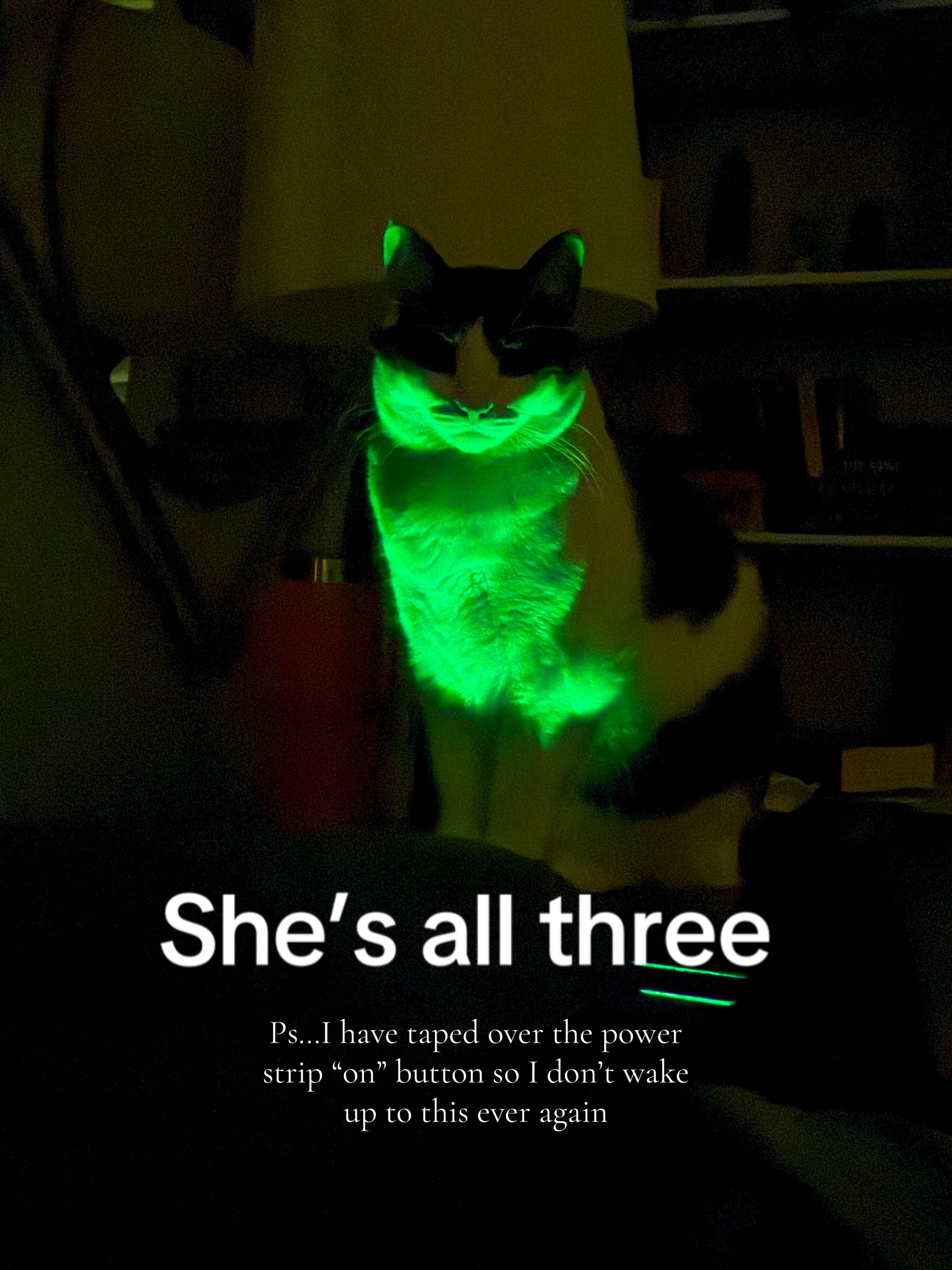 @Heather_plus_3