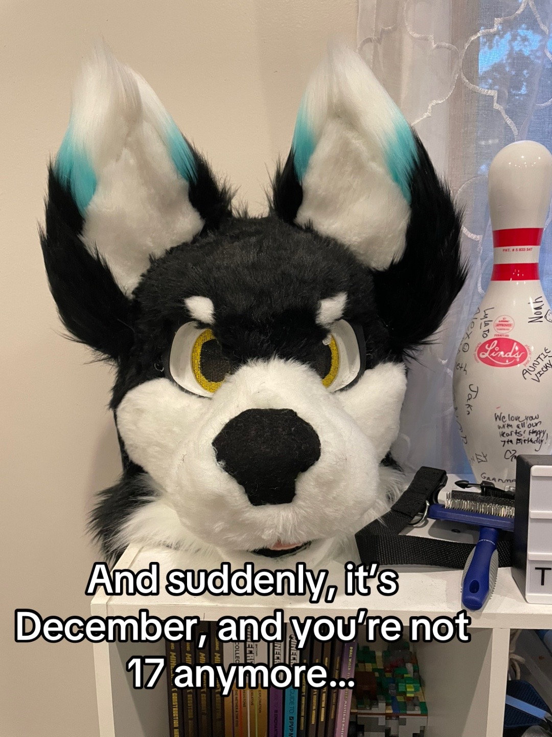 @⭐️KiwiFurSure⭐️