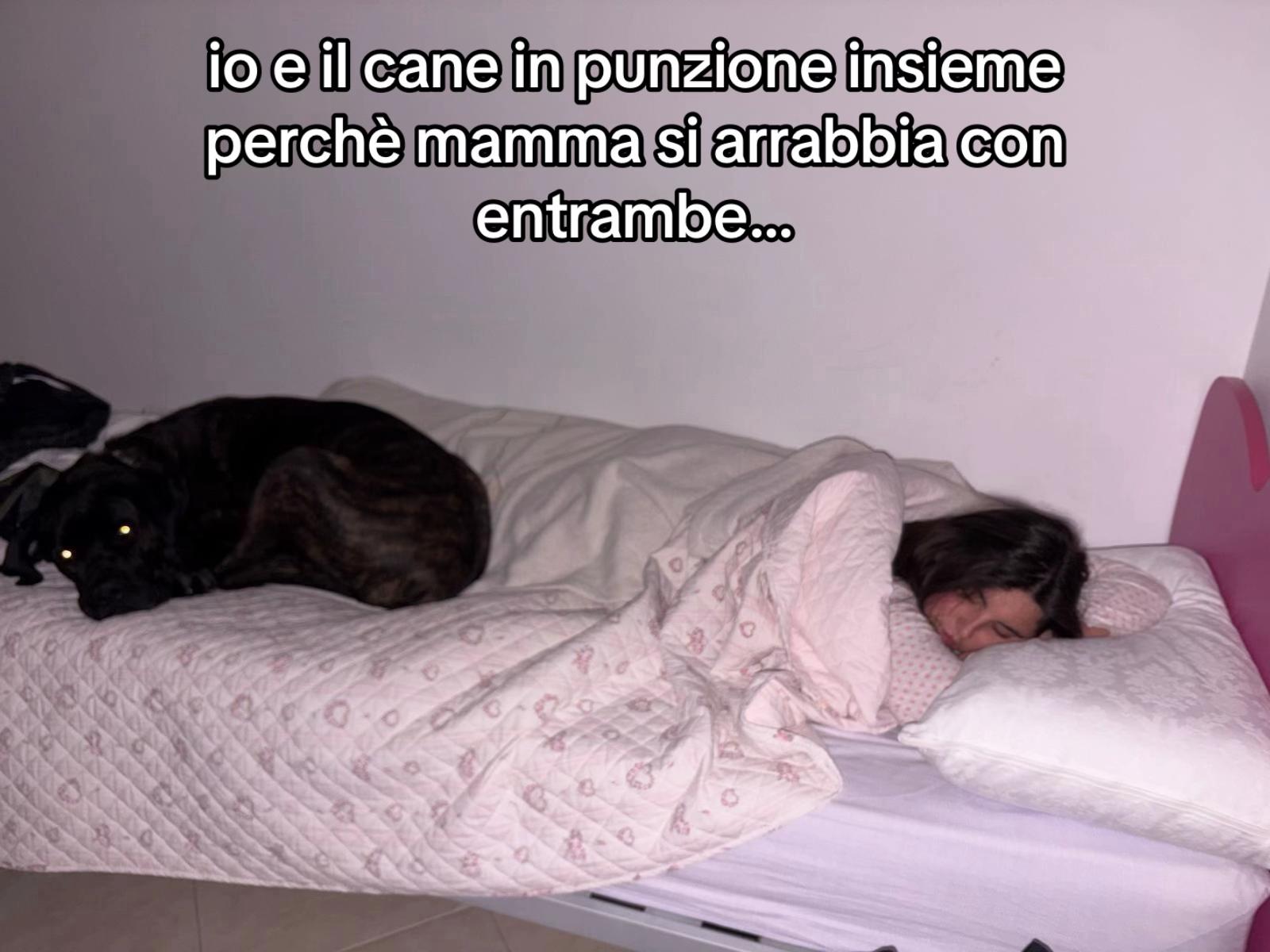 @la.savi2