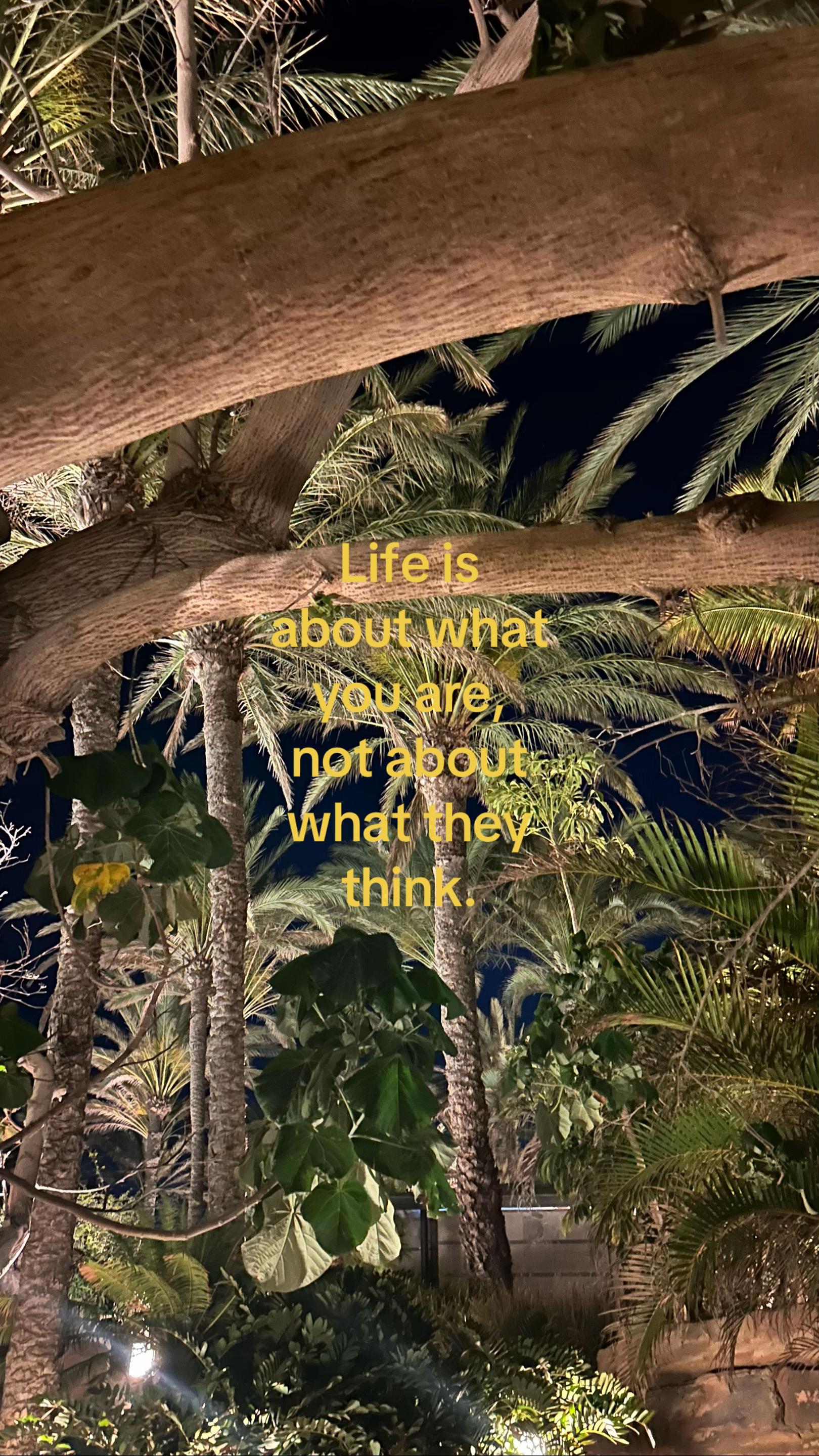 @👽