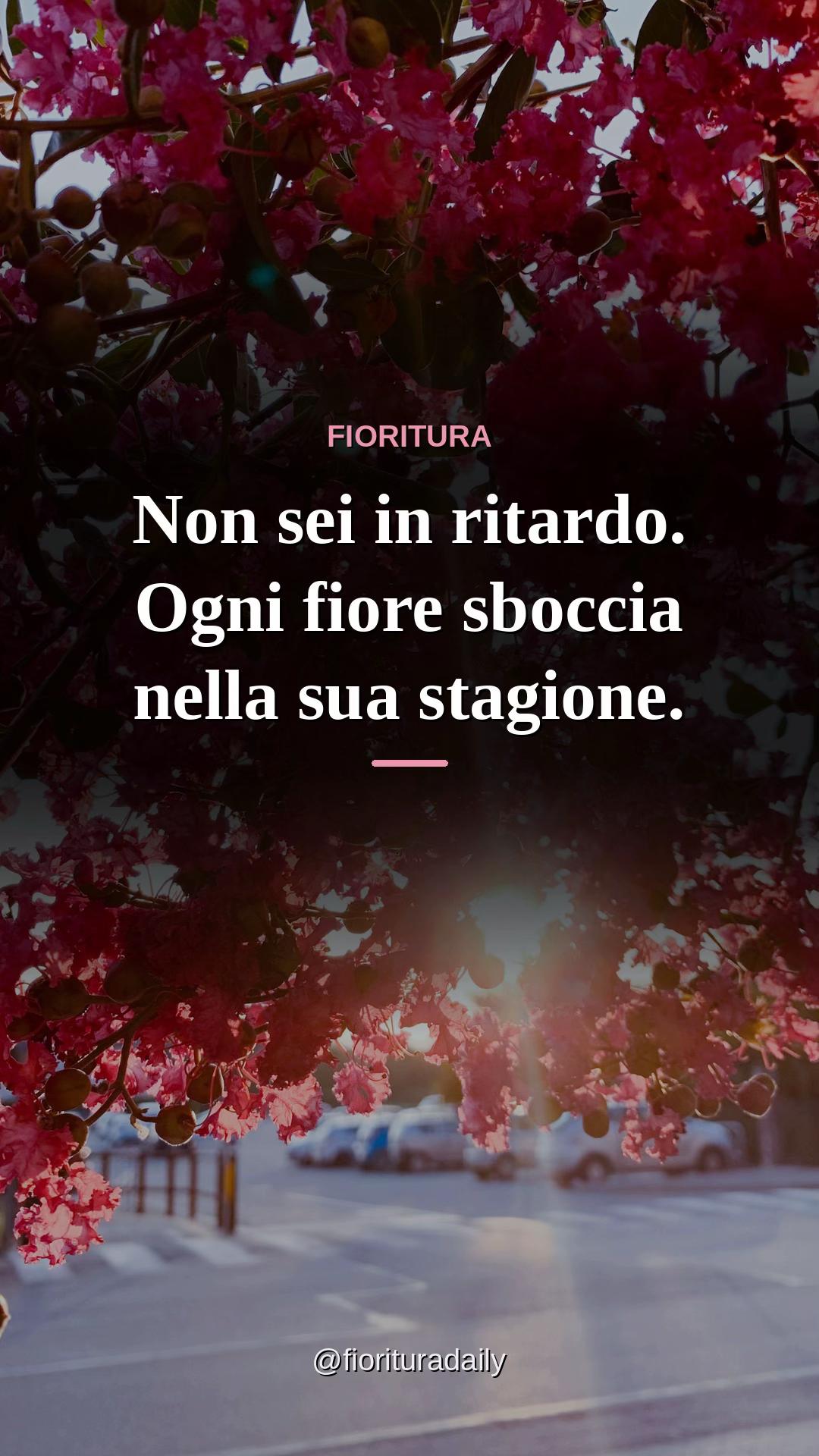 @Fioritura 🌸