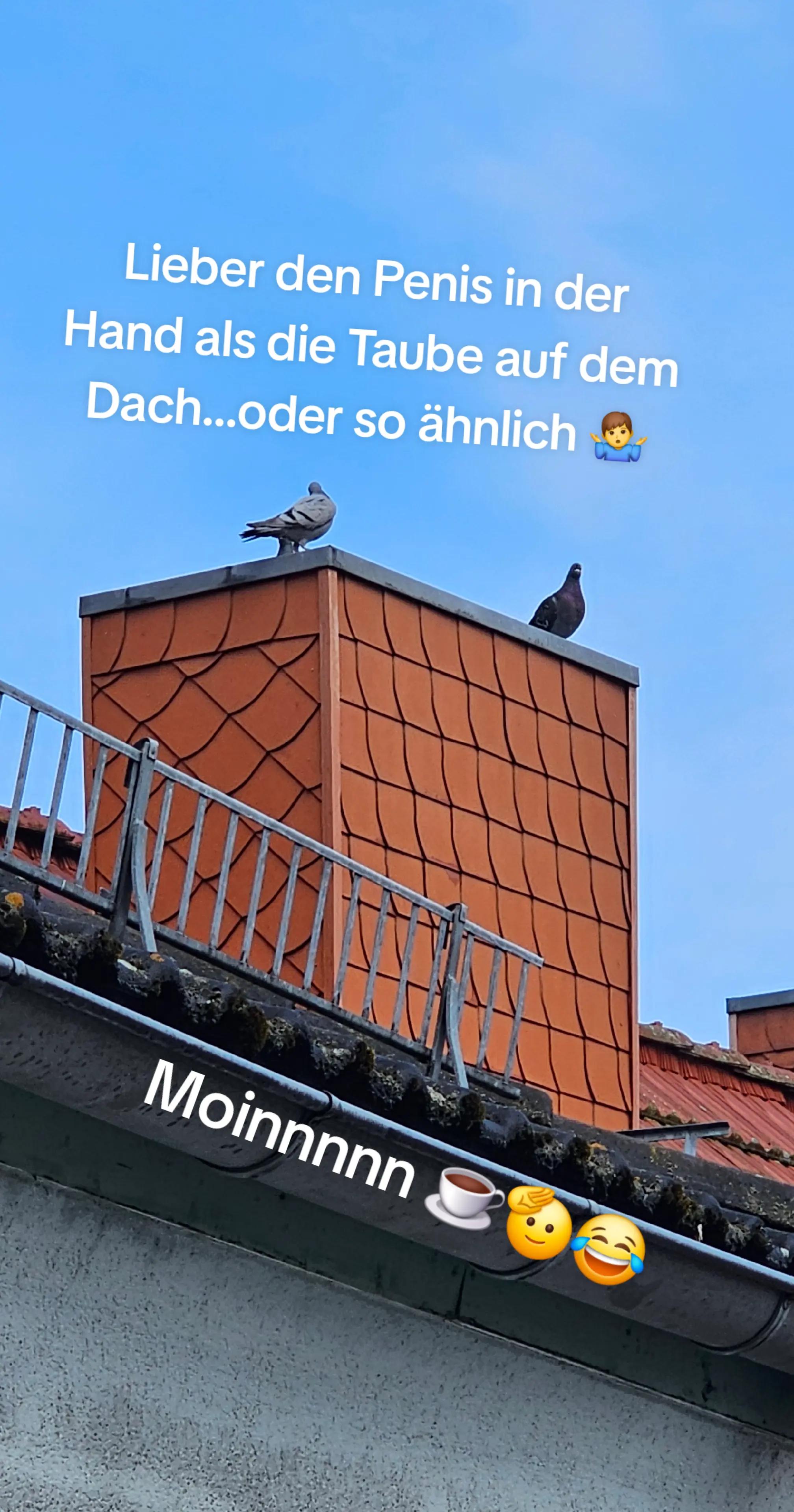 @The_crazy_fischkopp 🔵
