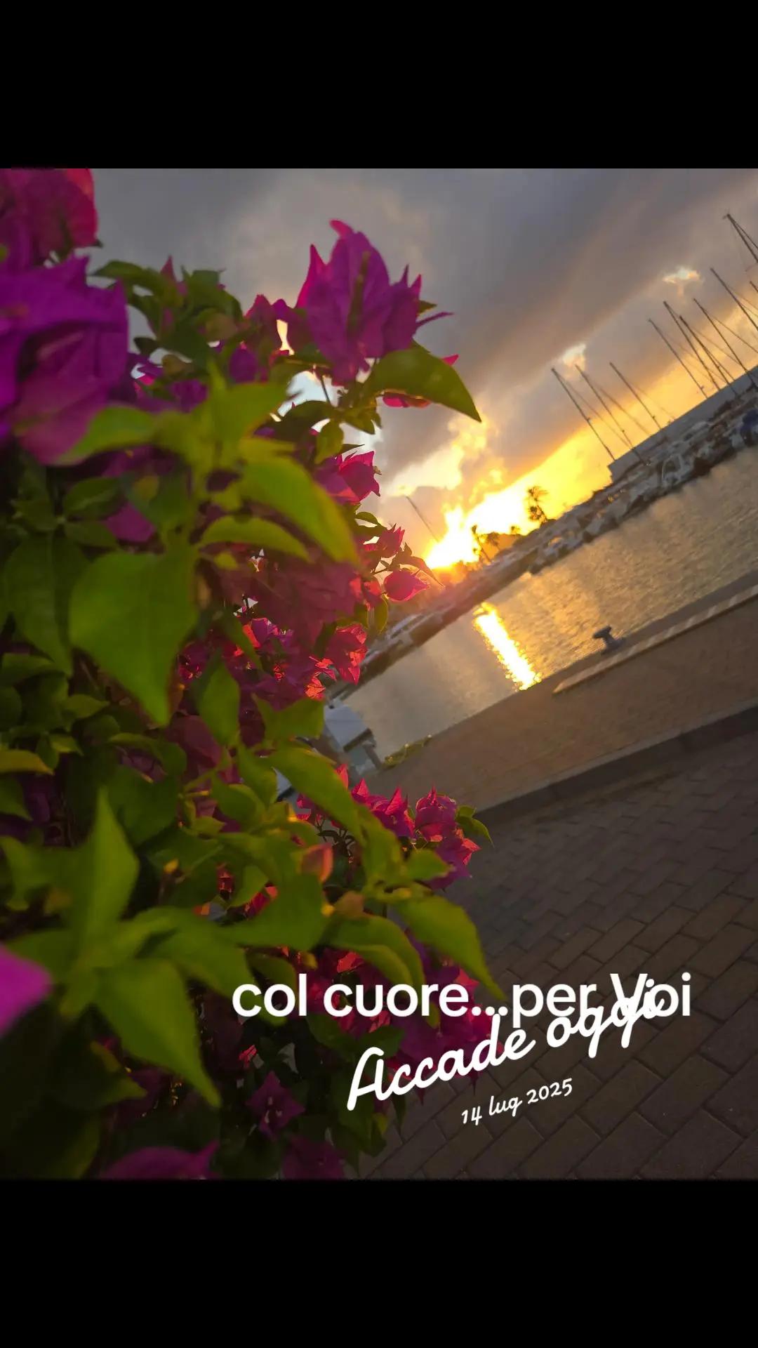 @herculesErcole Mertoli