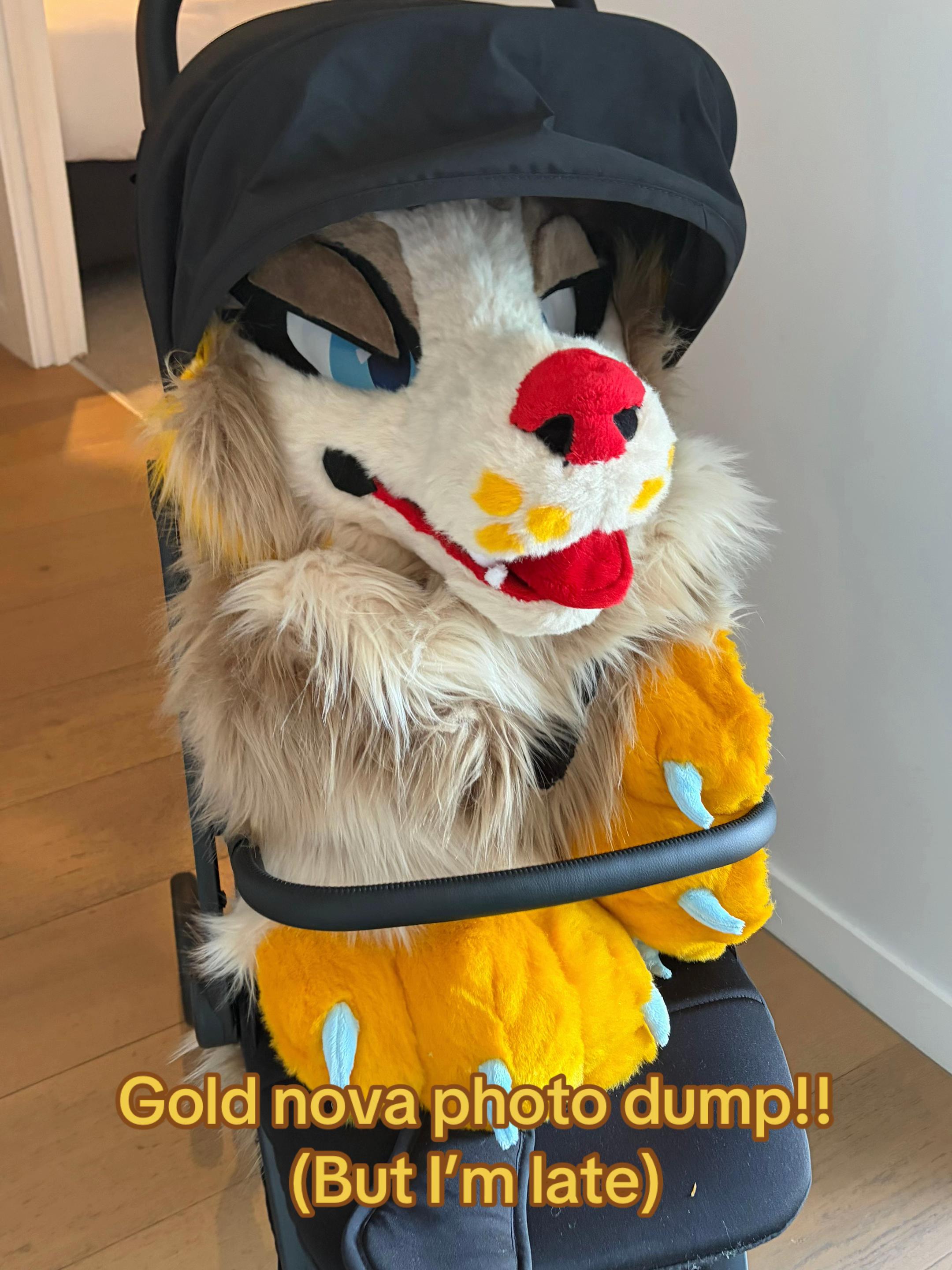 @𝙇𝙮𝙧𝙖𝙝! 🇳🇱🌟🦌