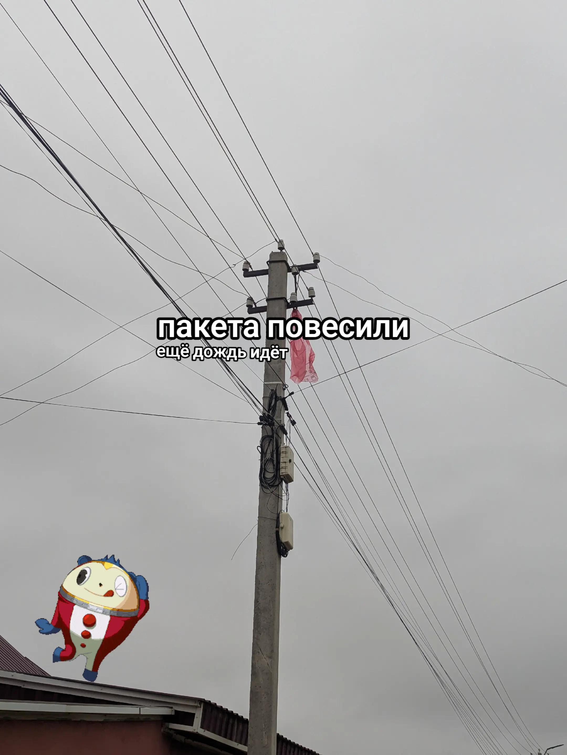 @agentik1o