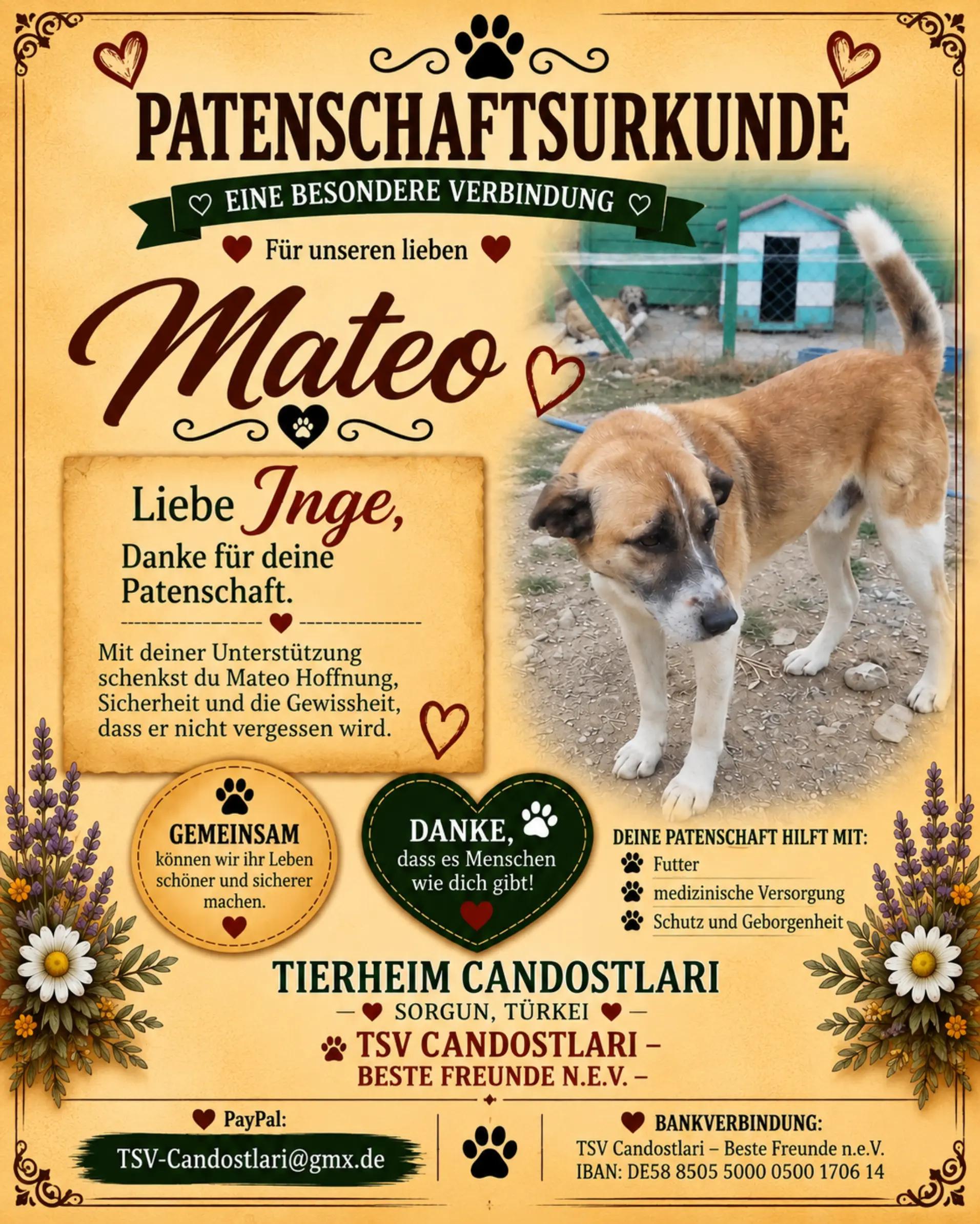 @TSV Candostlari-Beste Freunde