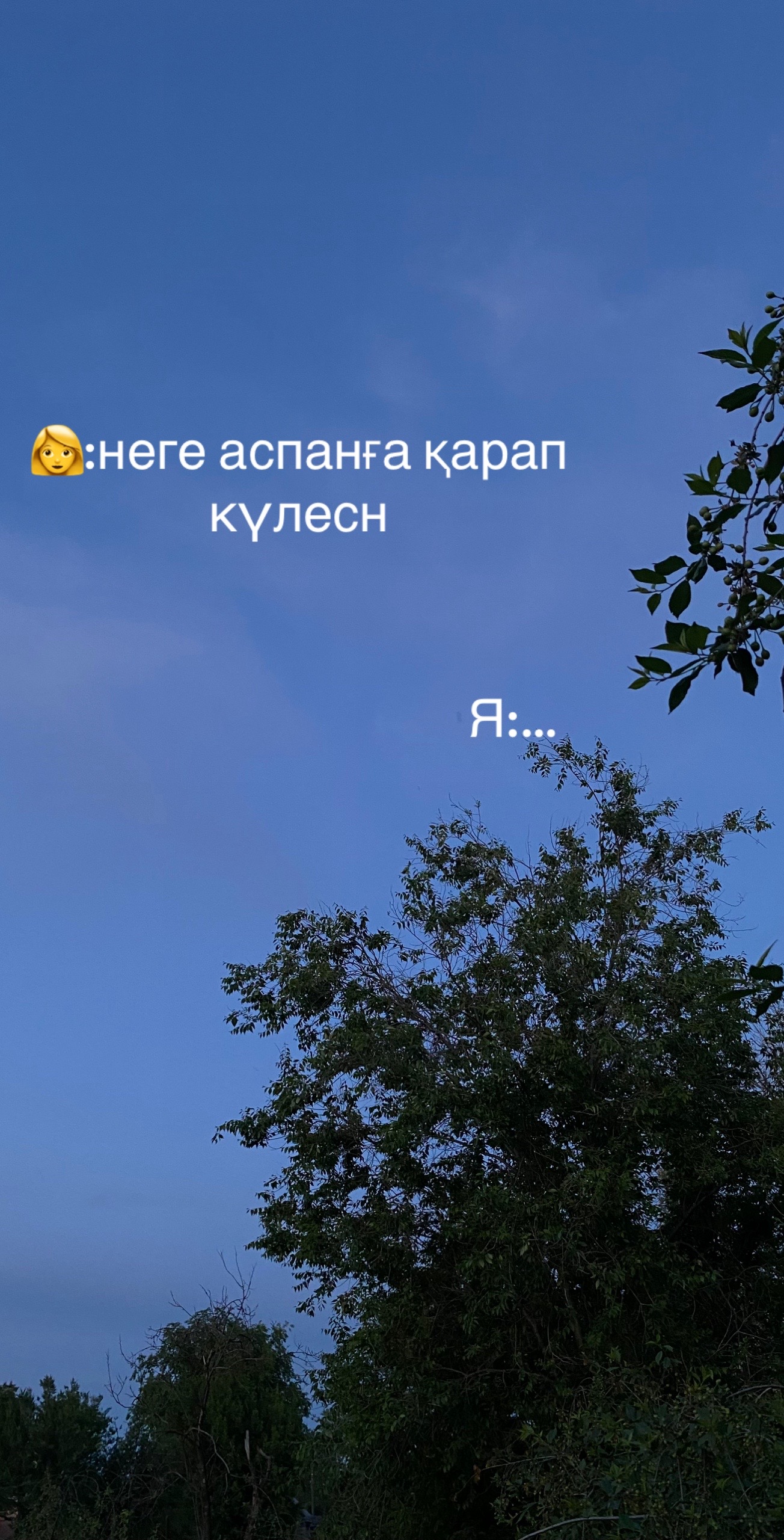 @Минел но не твая