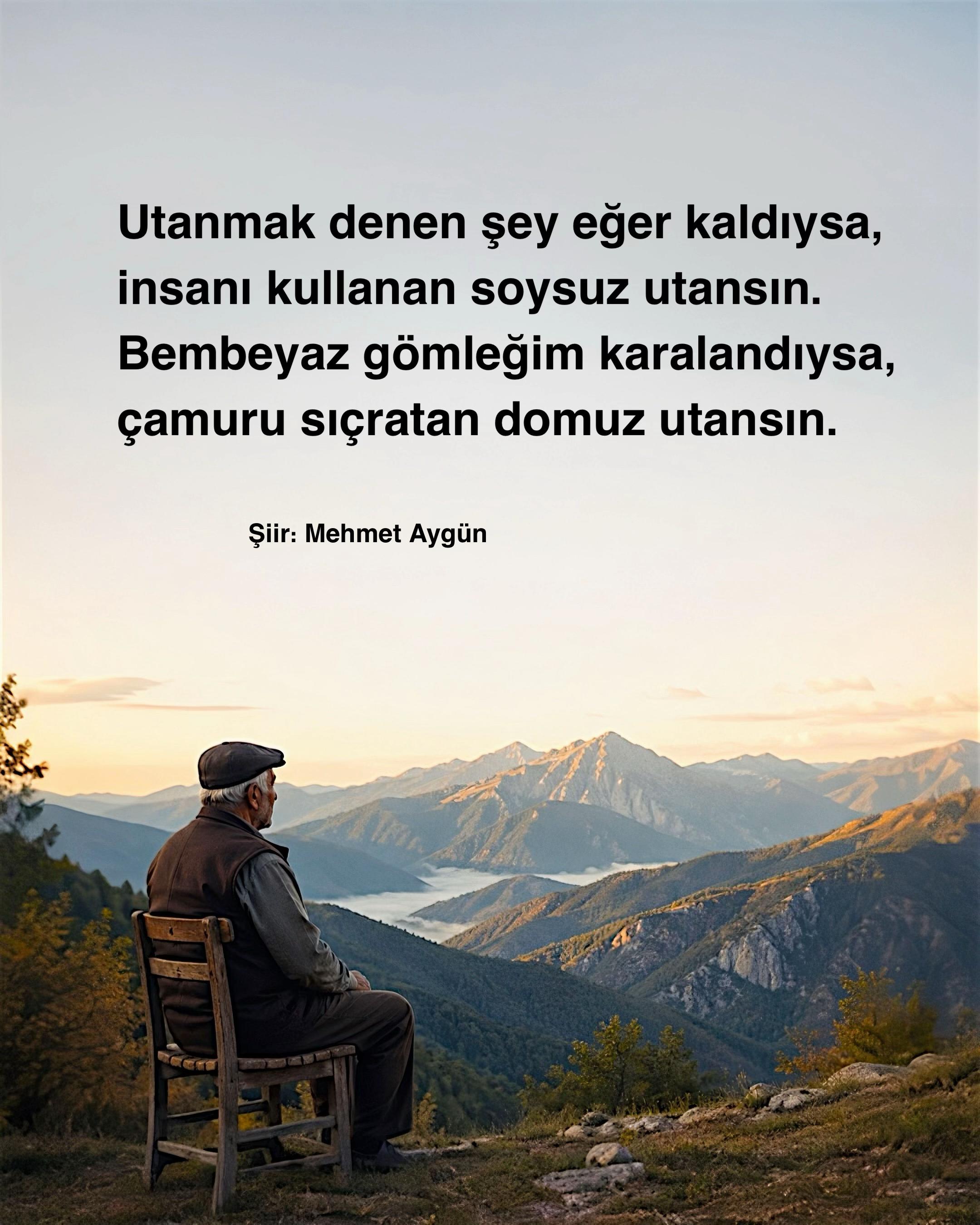 @Mehmet Aygün