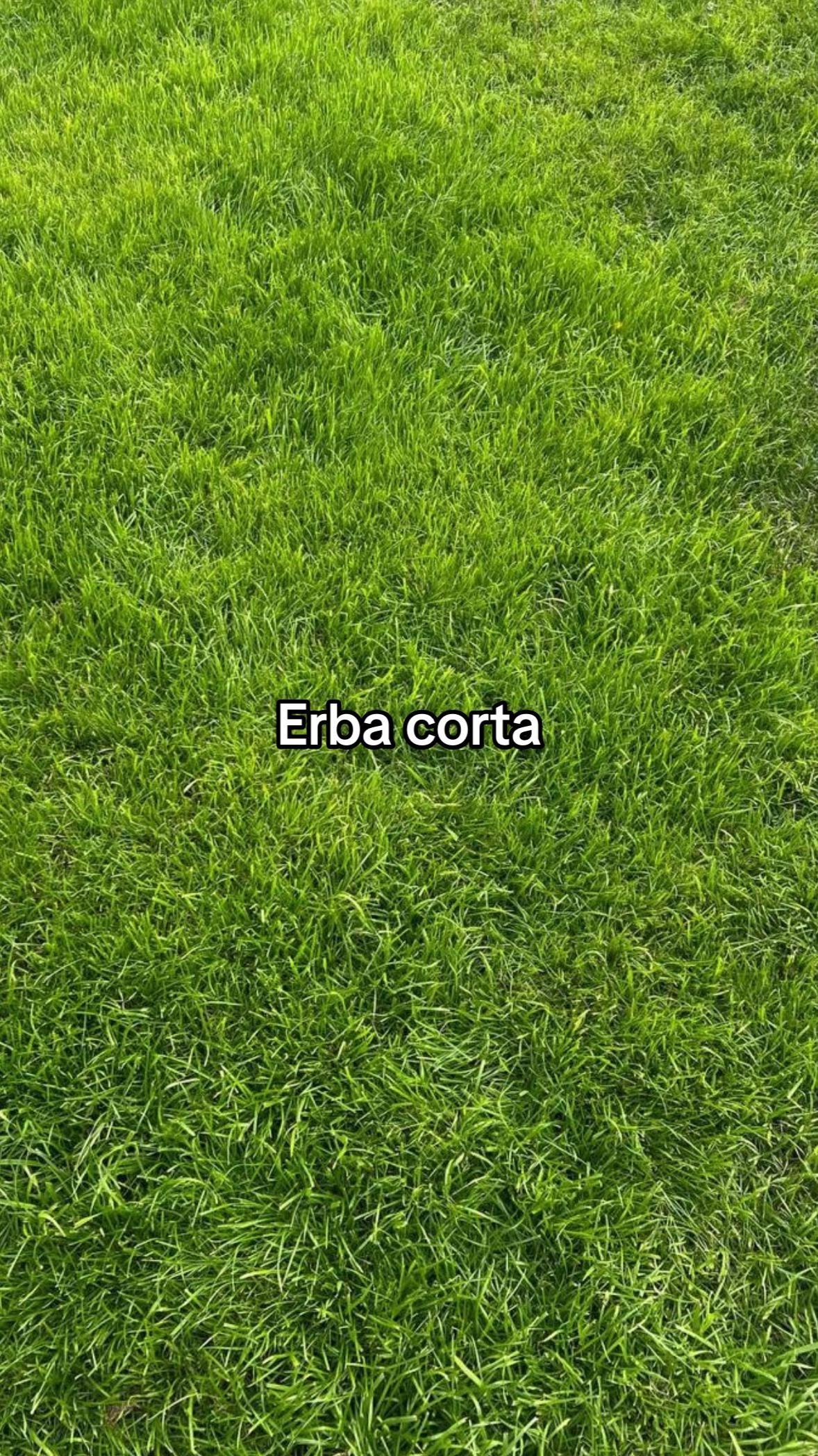 @4N45