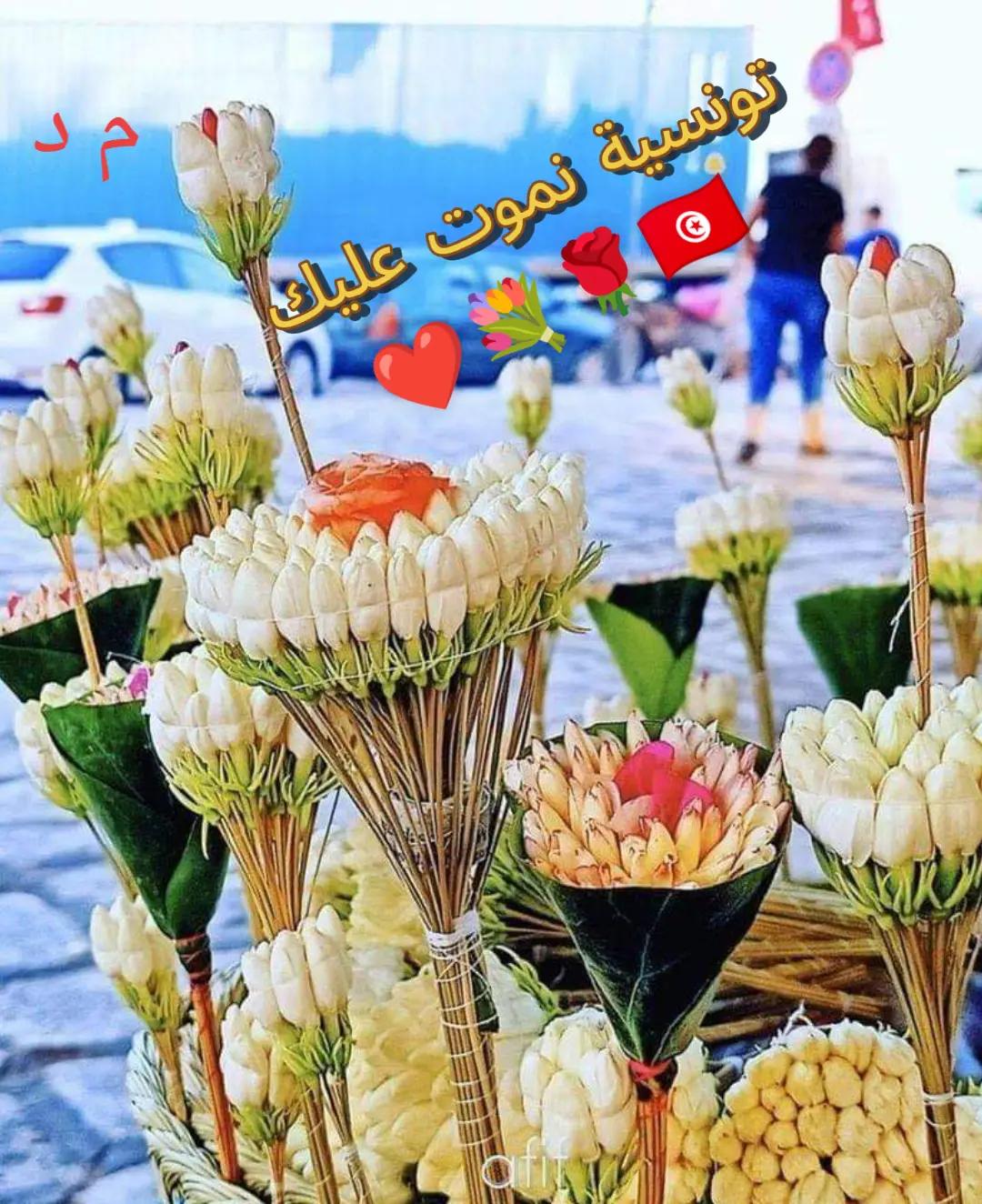 @mondher debichi🇹🇳🇲🇫🫶🫶❤️
