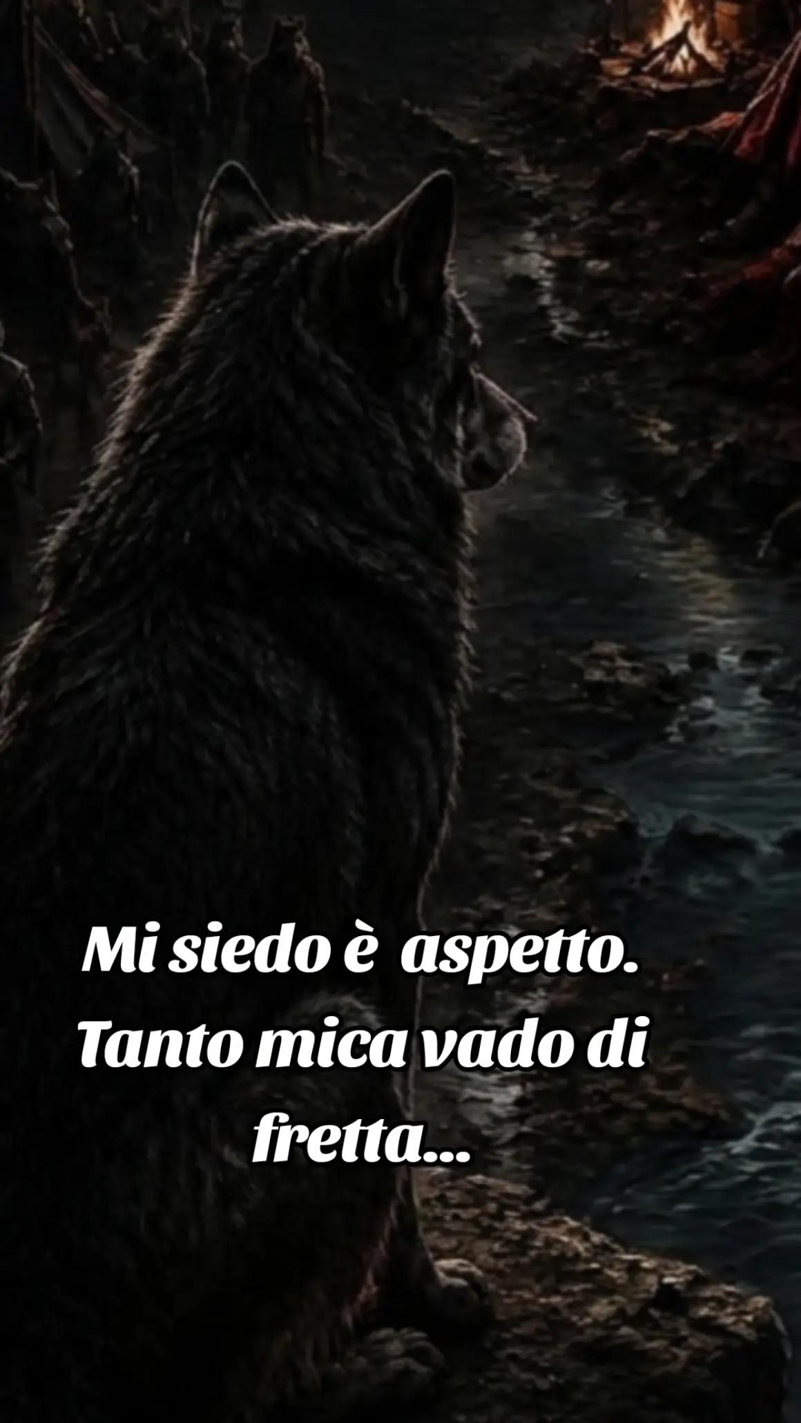 @🐺🗽Crazy Wolf.
