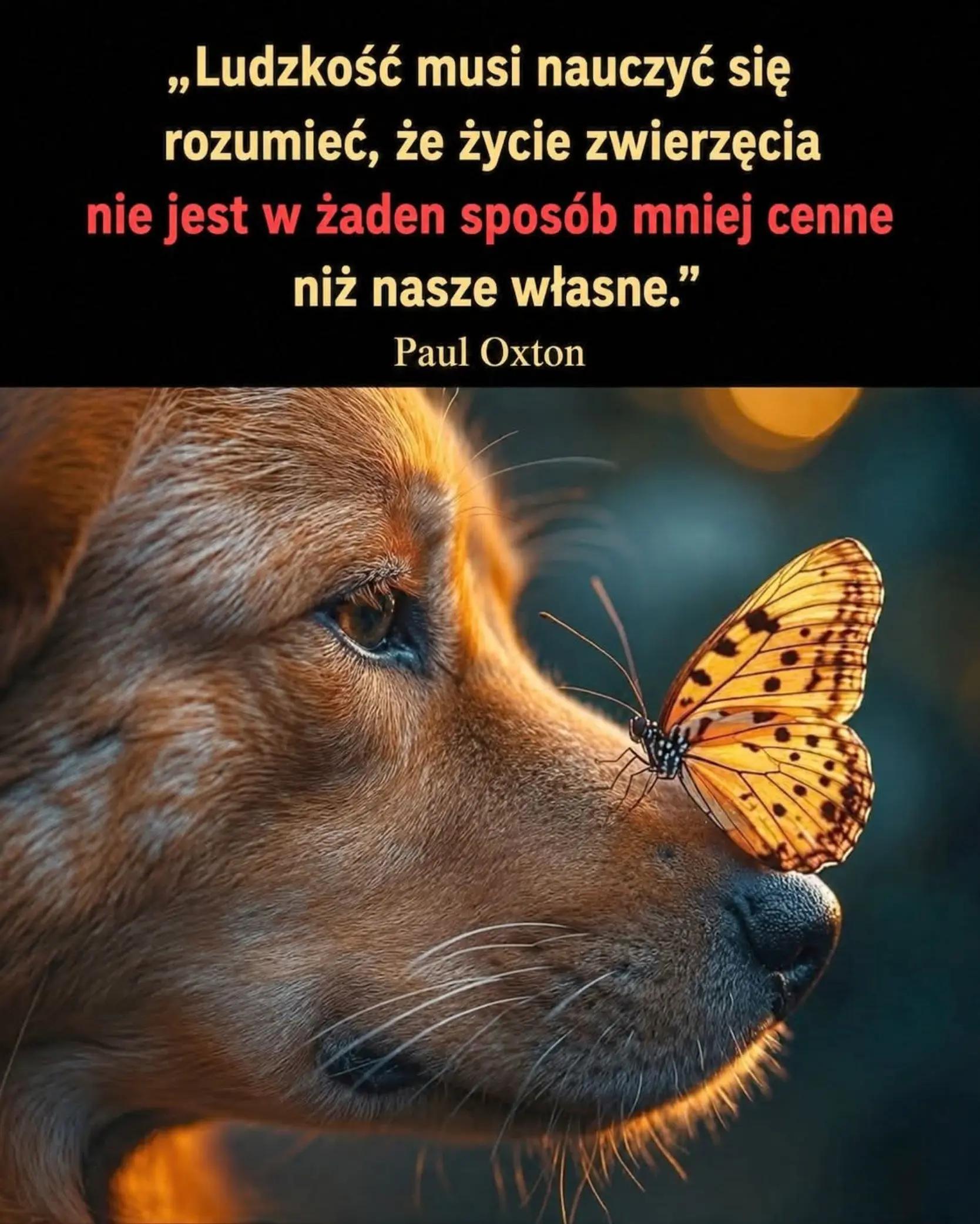 @MiłośćŚwiadomośćPrawda