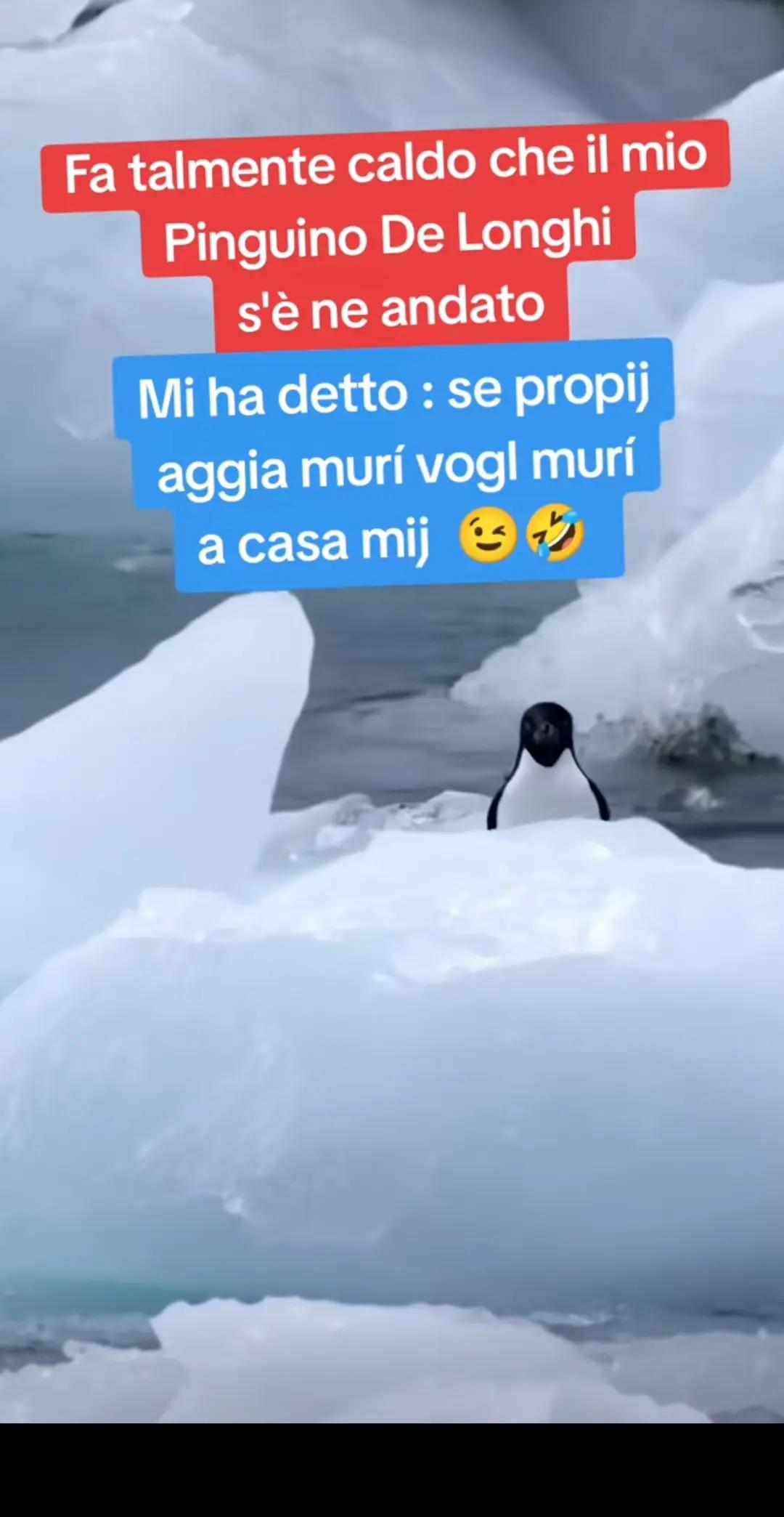 @Albina Landolfi