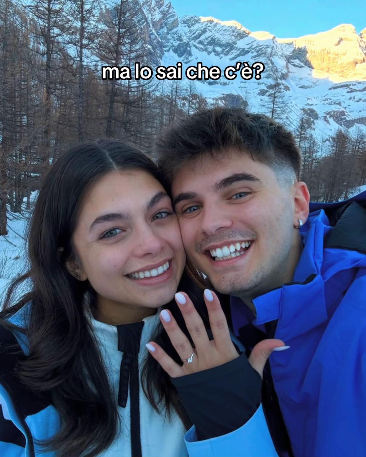 @alfa fan