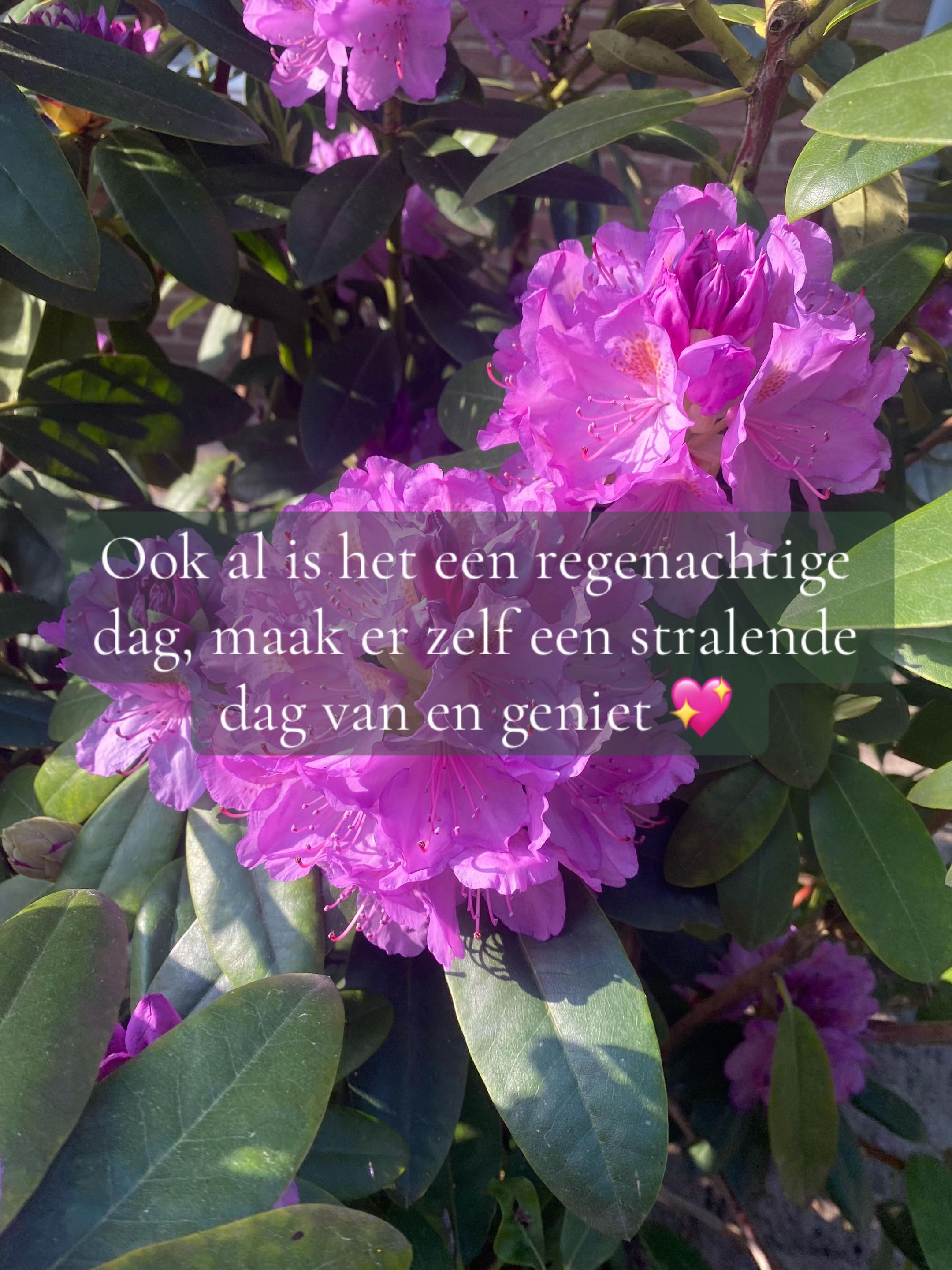 @Marloes.