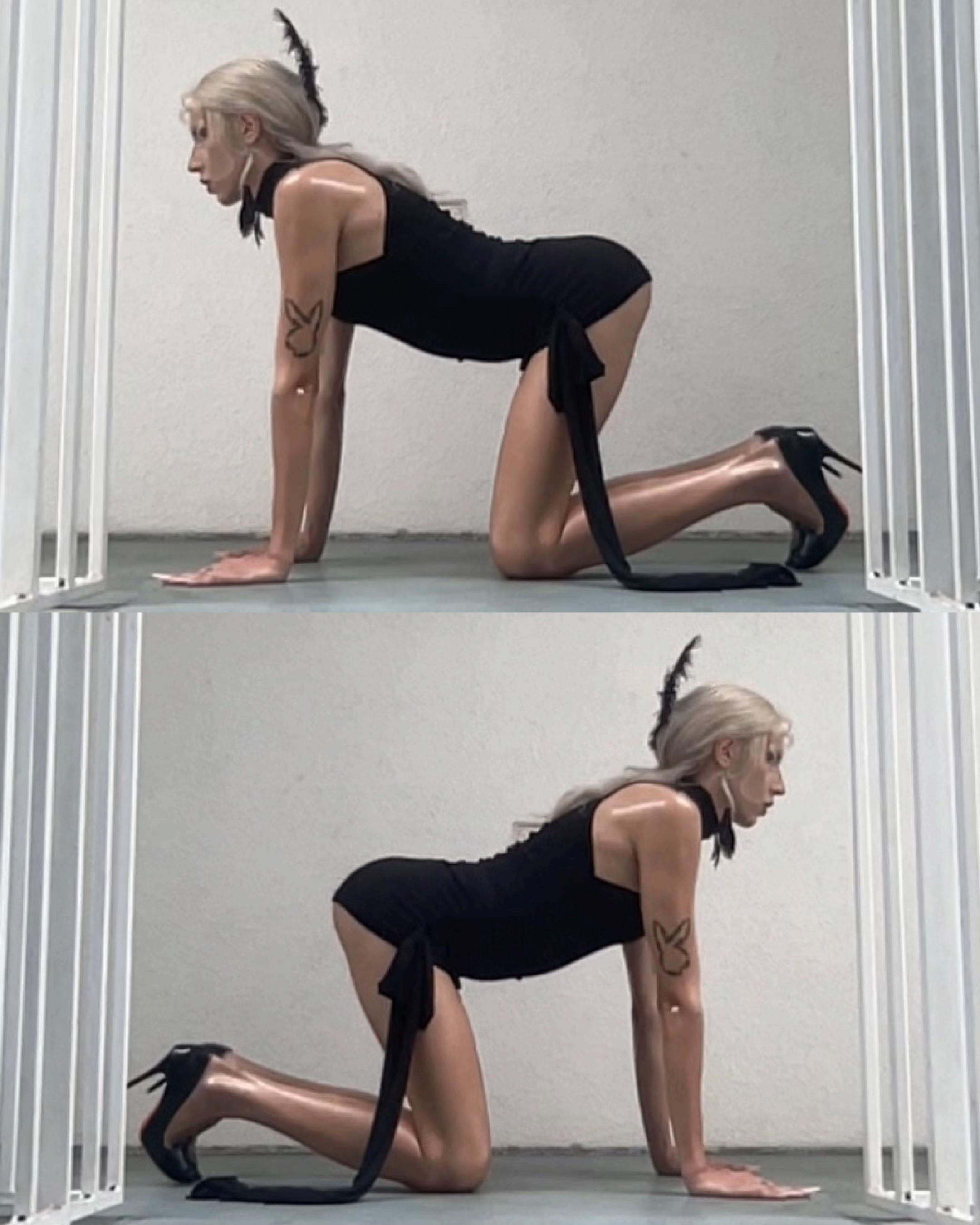 @luandaschuster