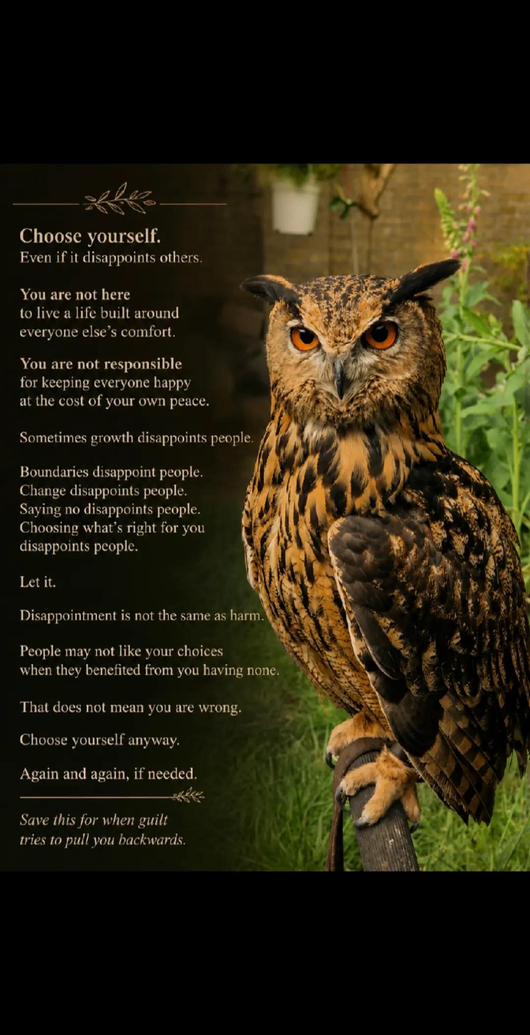 @Birddaddy🦜🦉🦅