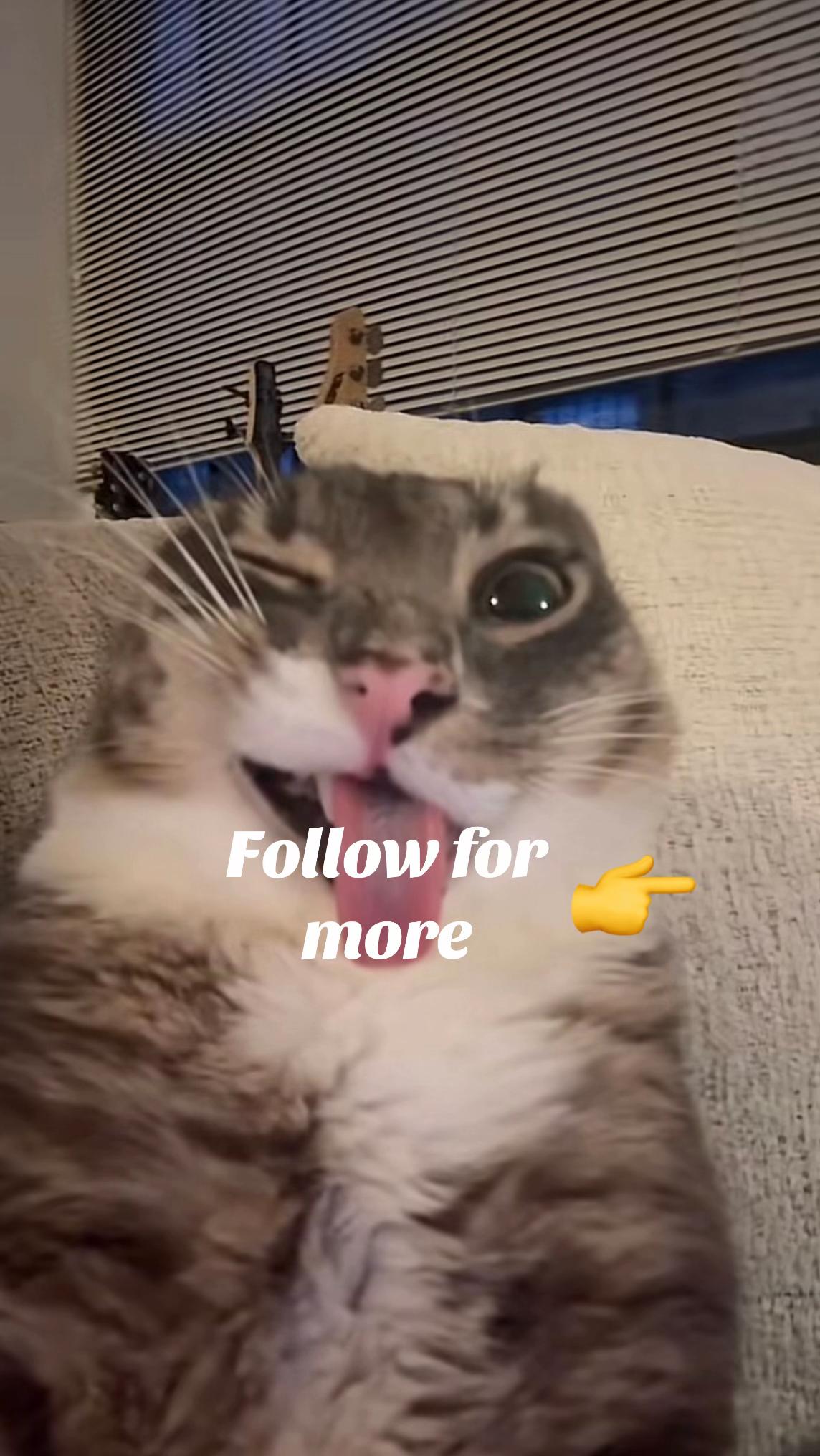 @Rule 34