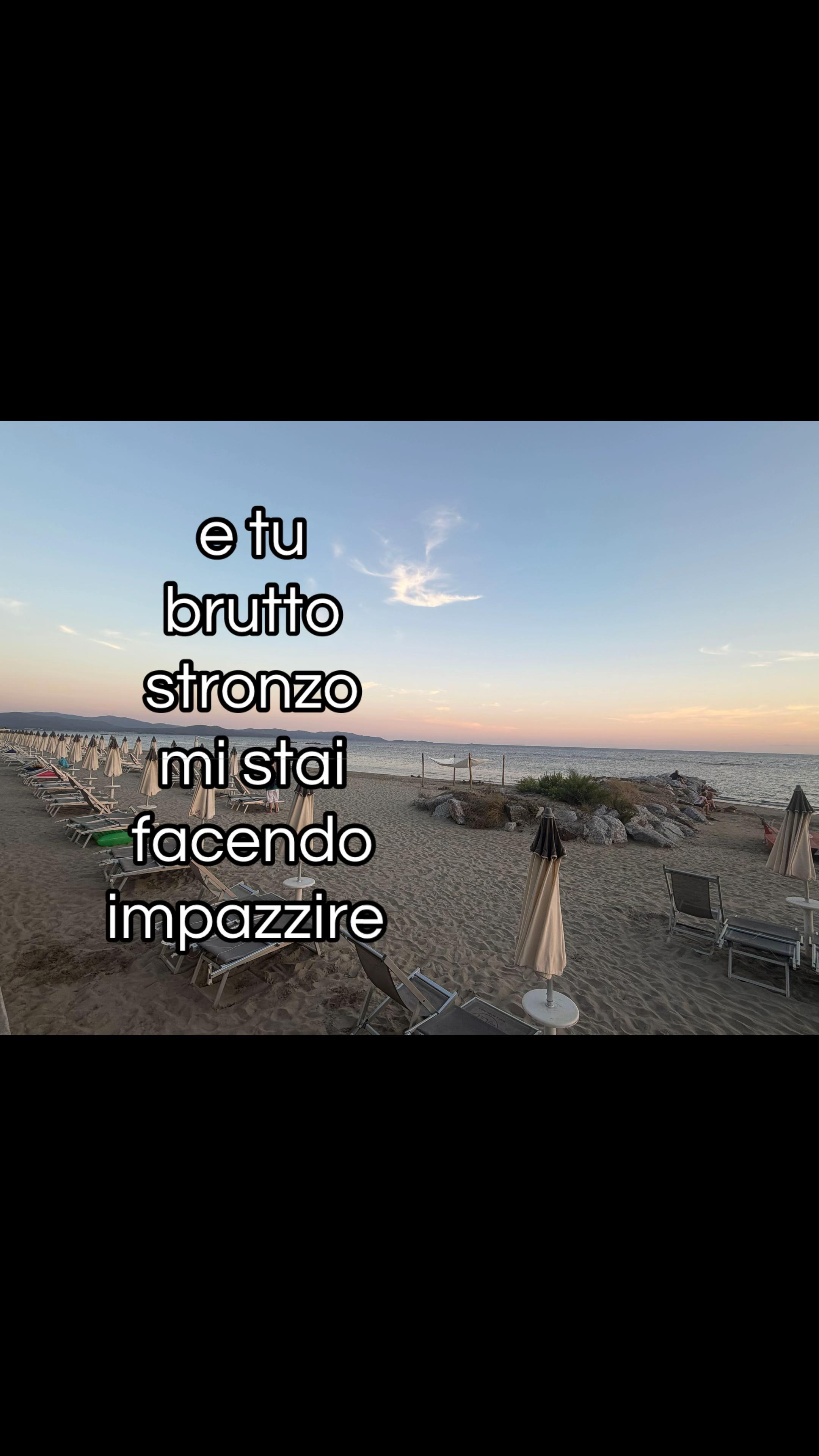 @account_sfogo