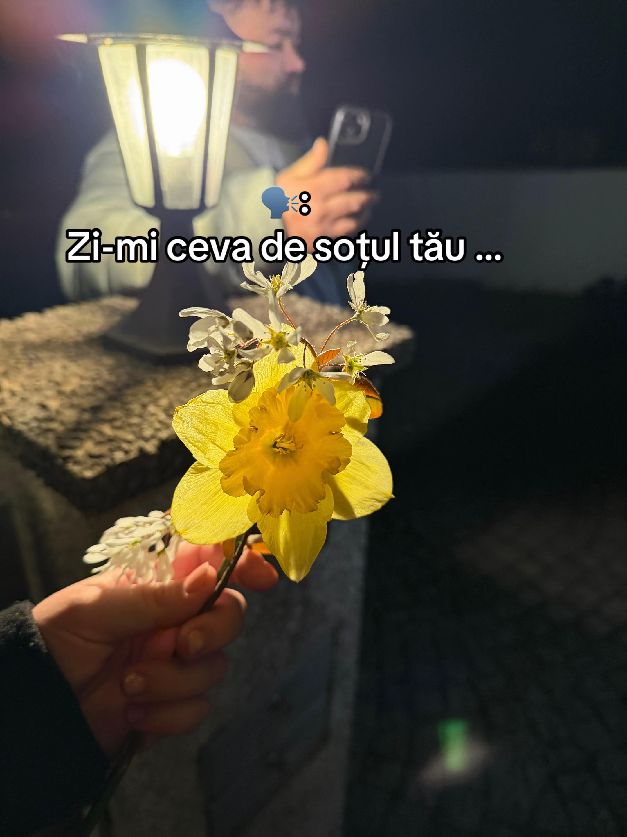 @Lavinia15Pavel