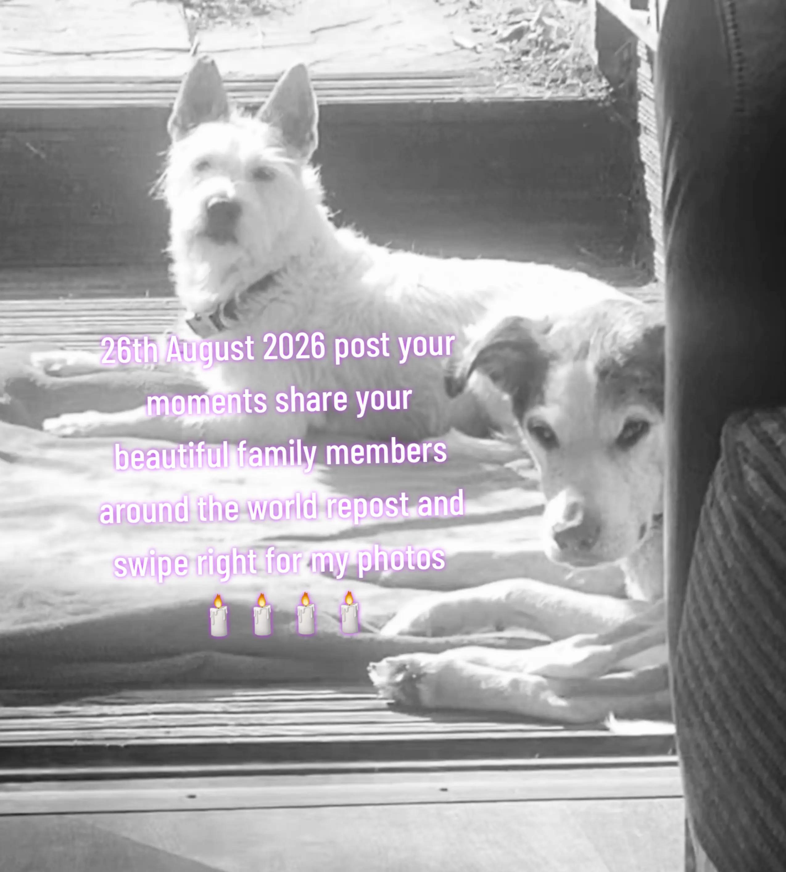 @claire🌈BellaBertErnie💙T&D
