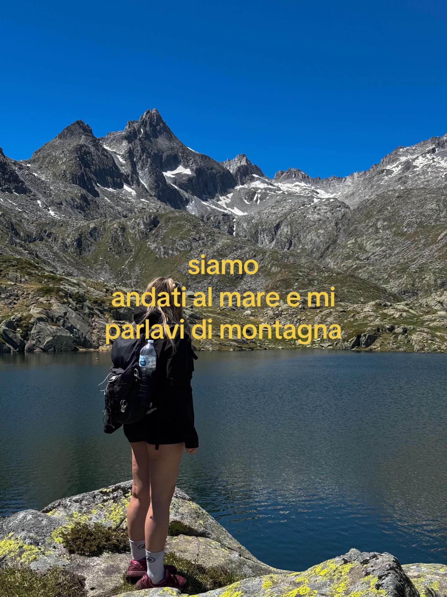 @alice
