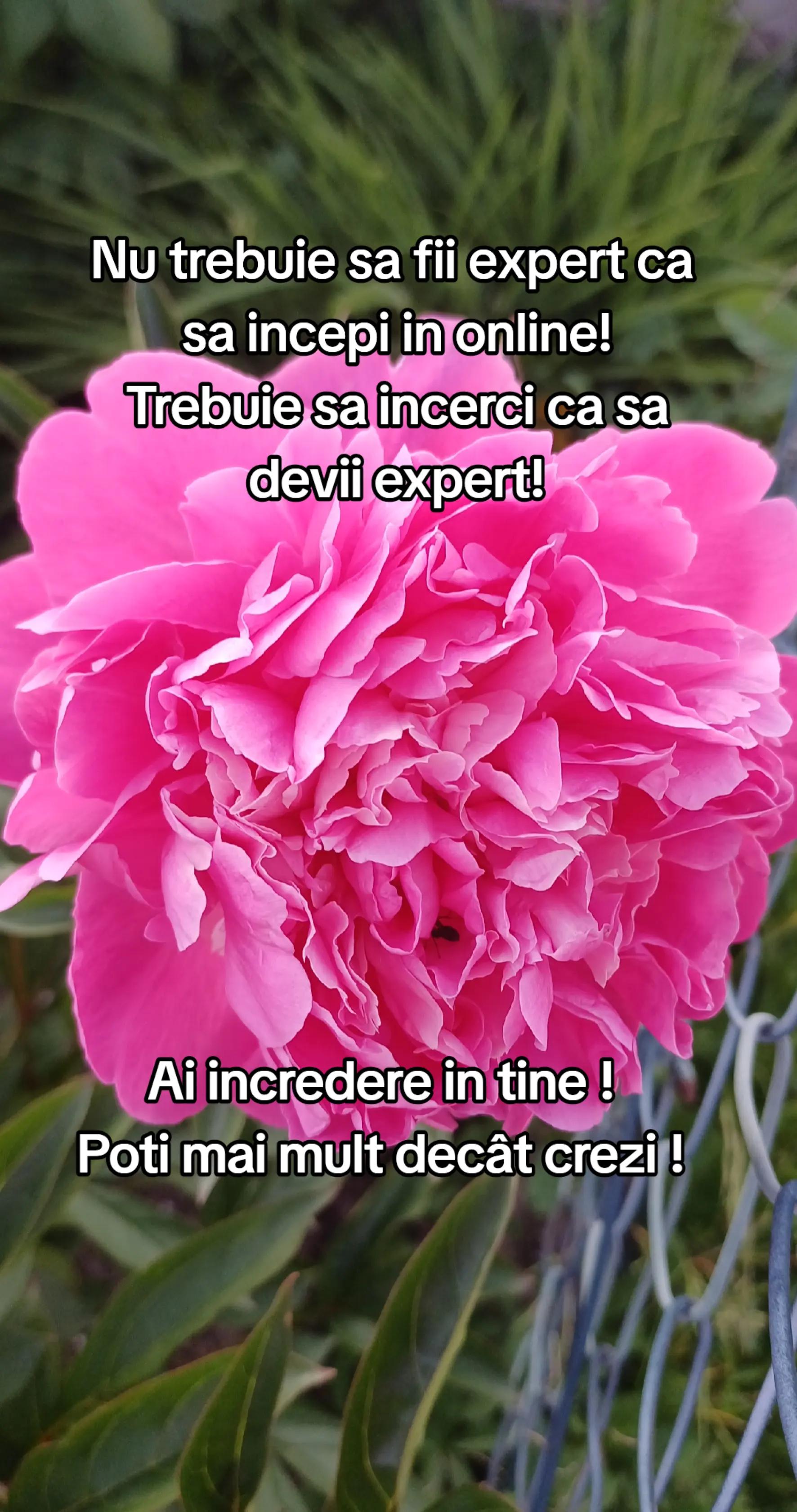 @Raluca RaLu
