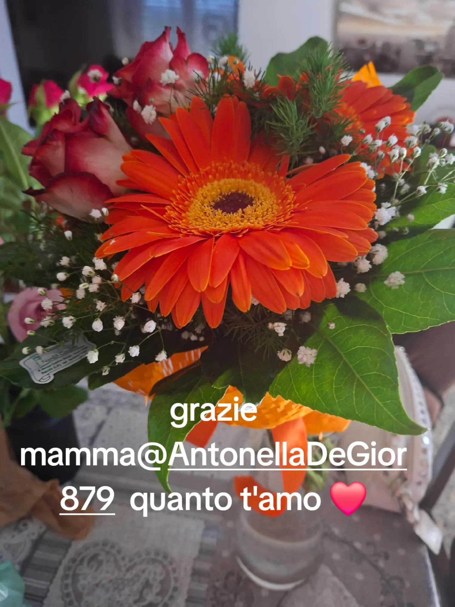 @🔥annar&egrave;❤️